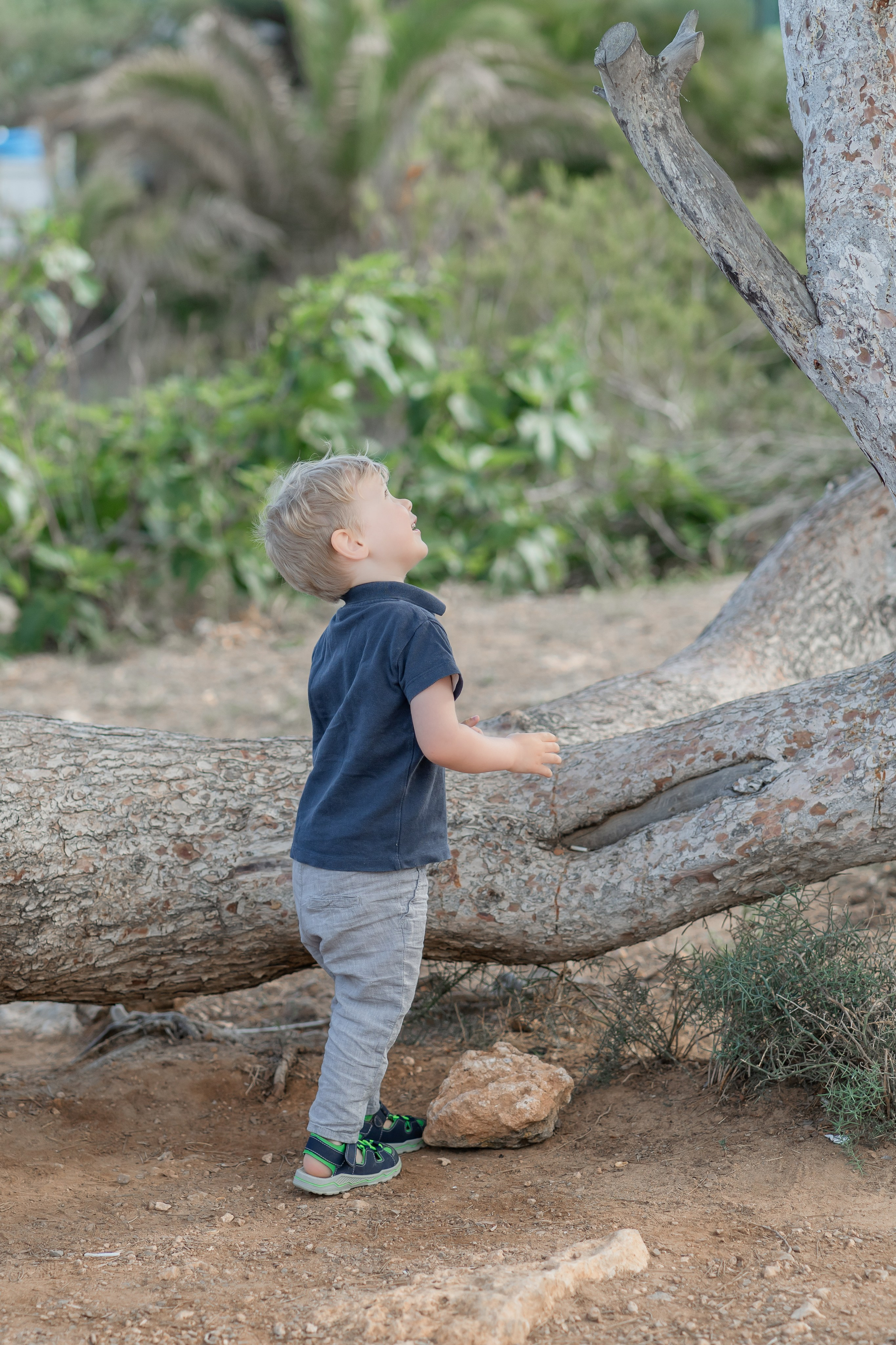 Babybauch-Shooting am Meer auf Mallorca mit Familie. Deine Fotografin auf Mallorca für Familien und Business