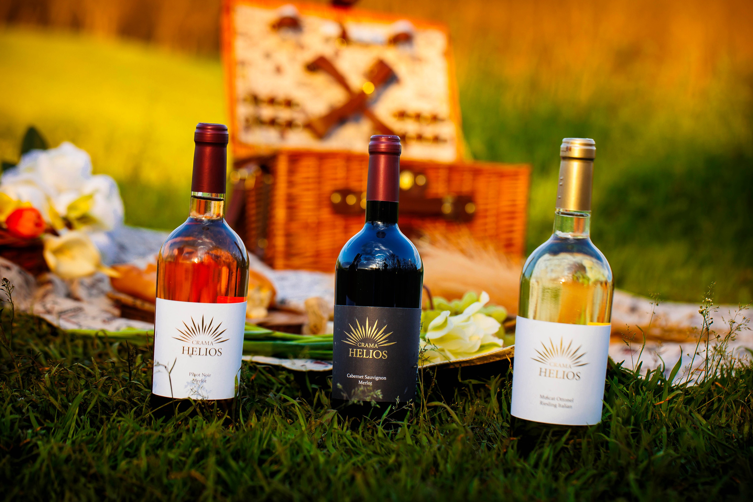 PreWedding. Dream Studio Galați – ședințe foto profesionale pentru familie, portrete și evenimente