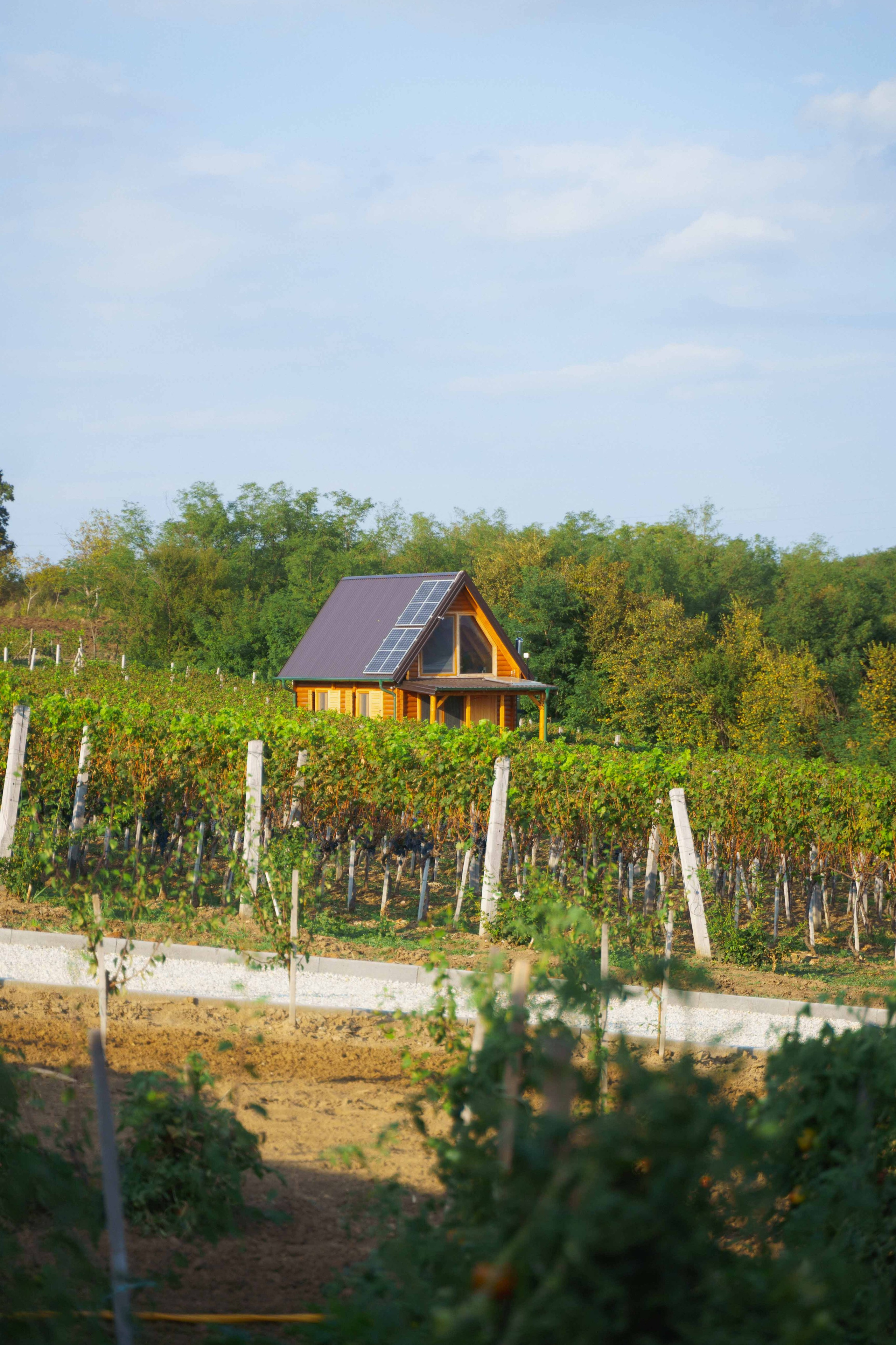 Jeep Commerce Event. Zhukov studio