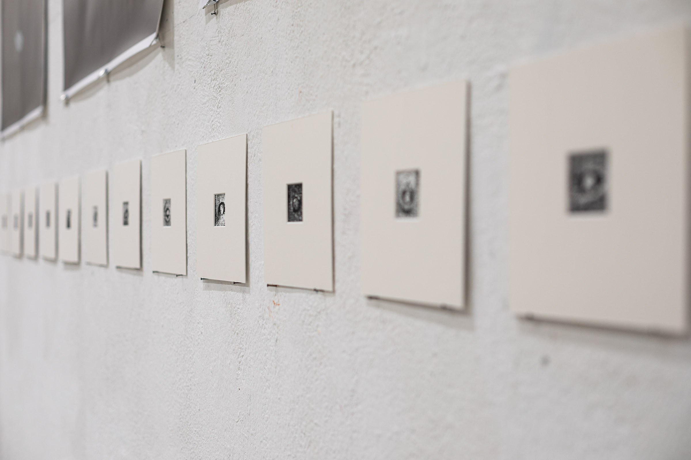 Nippel Ebene. Family, Lifestyle and Portrait photograher in Trier, Germany