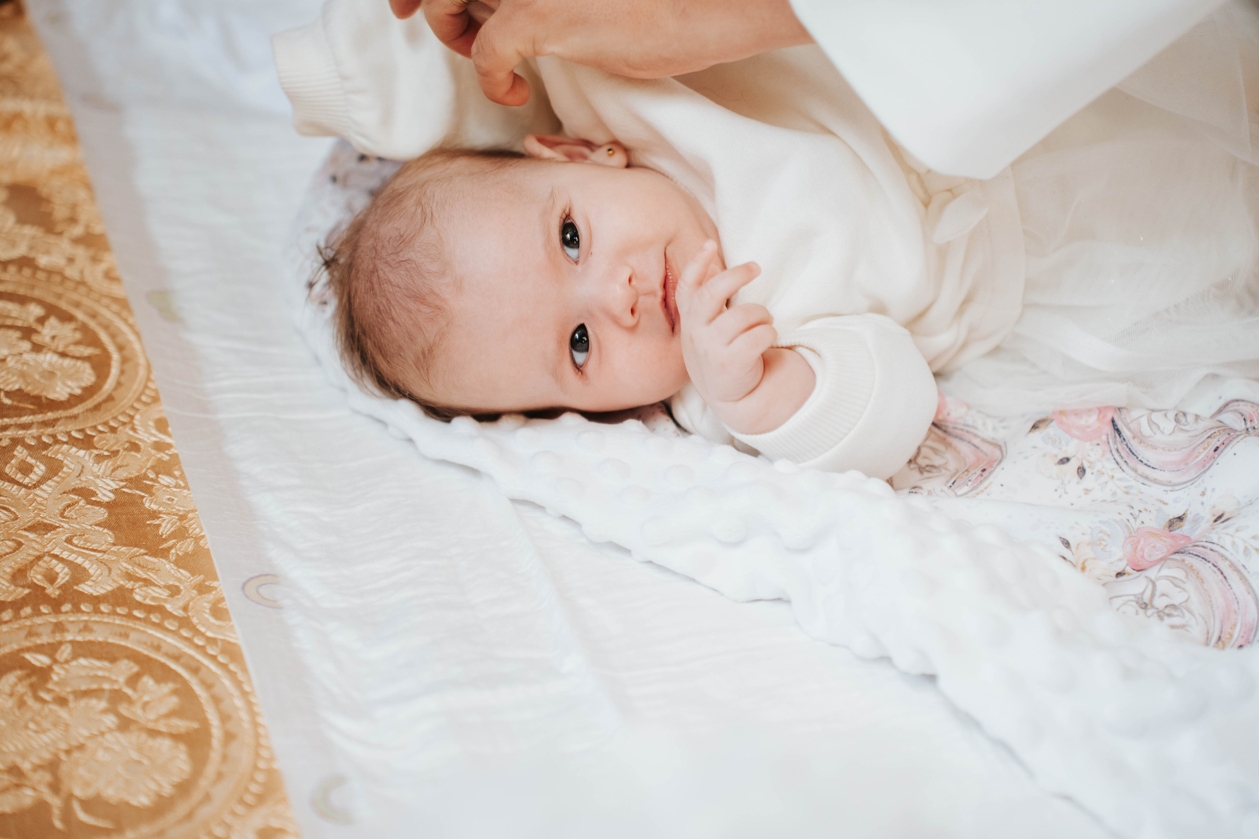 Tania Stefania. Fotograf de evenimente din Romania