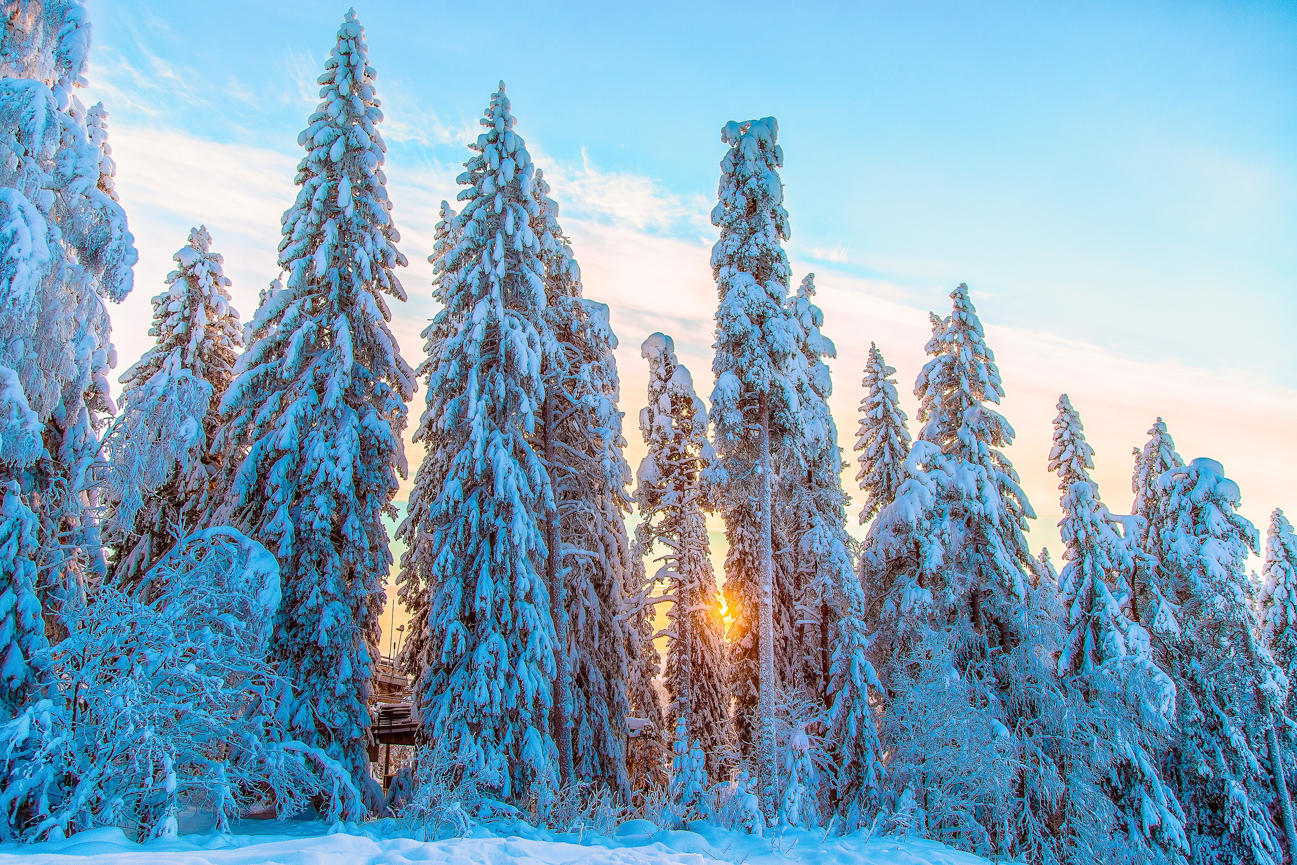 Luontokuvat. Kinosura Creative Studio Helsingissa ja Kuopiossa