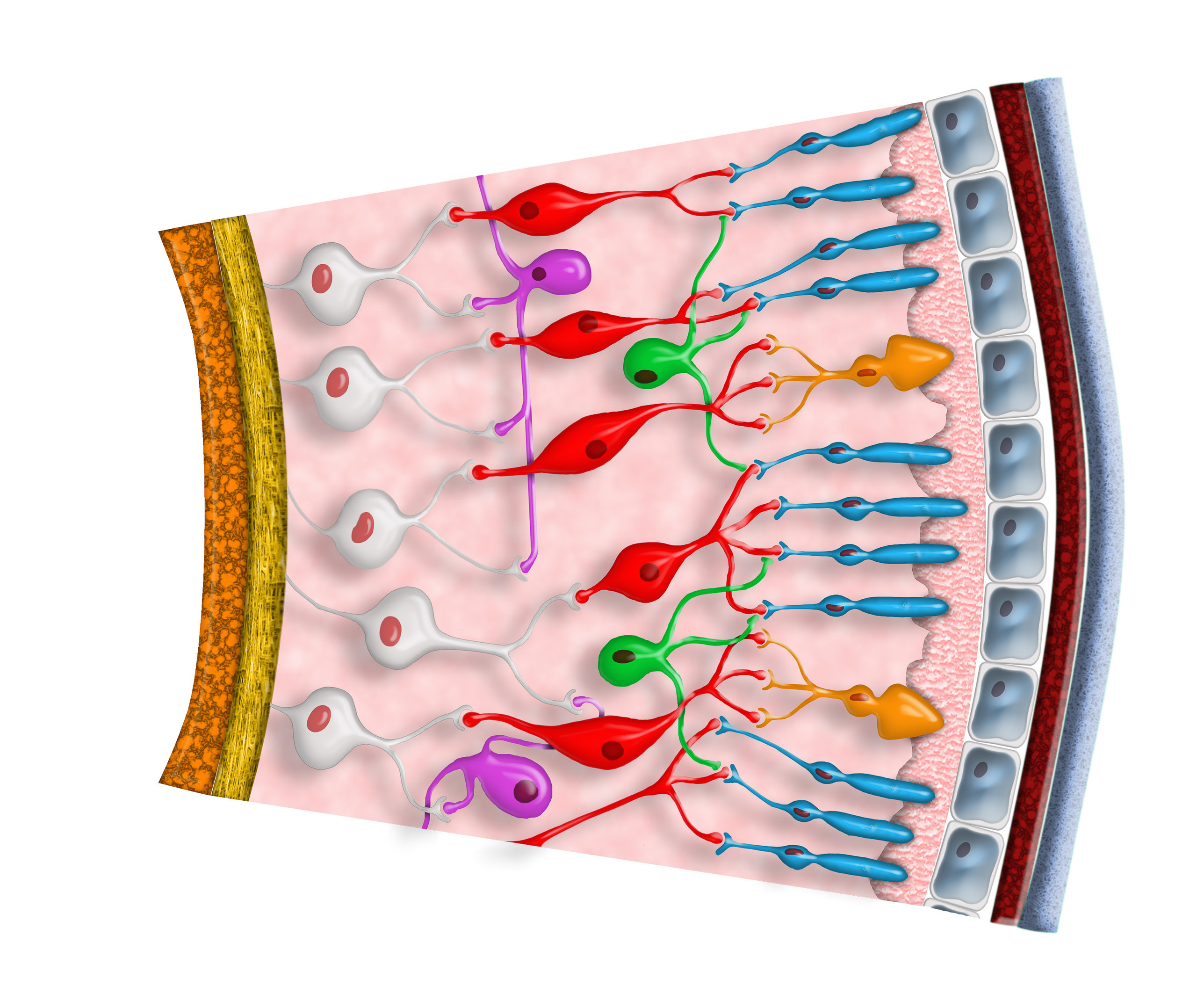 Graafinen suunnittelu. Kinosura Creative Studio Helsingissa ja Kuopiossa