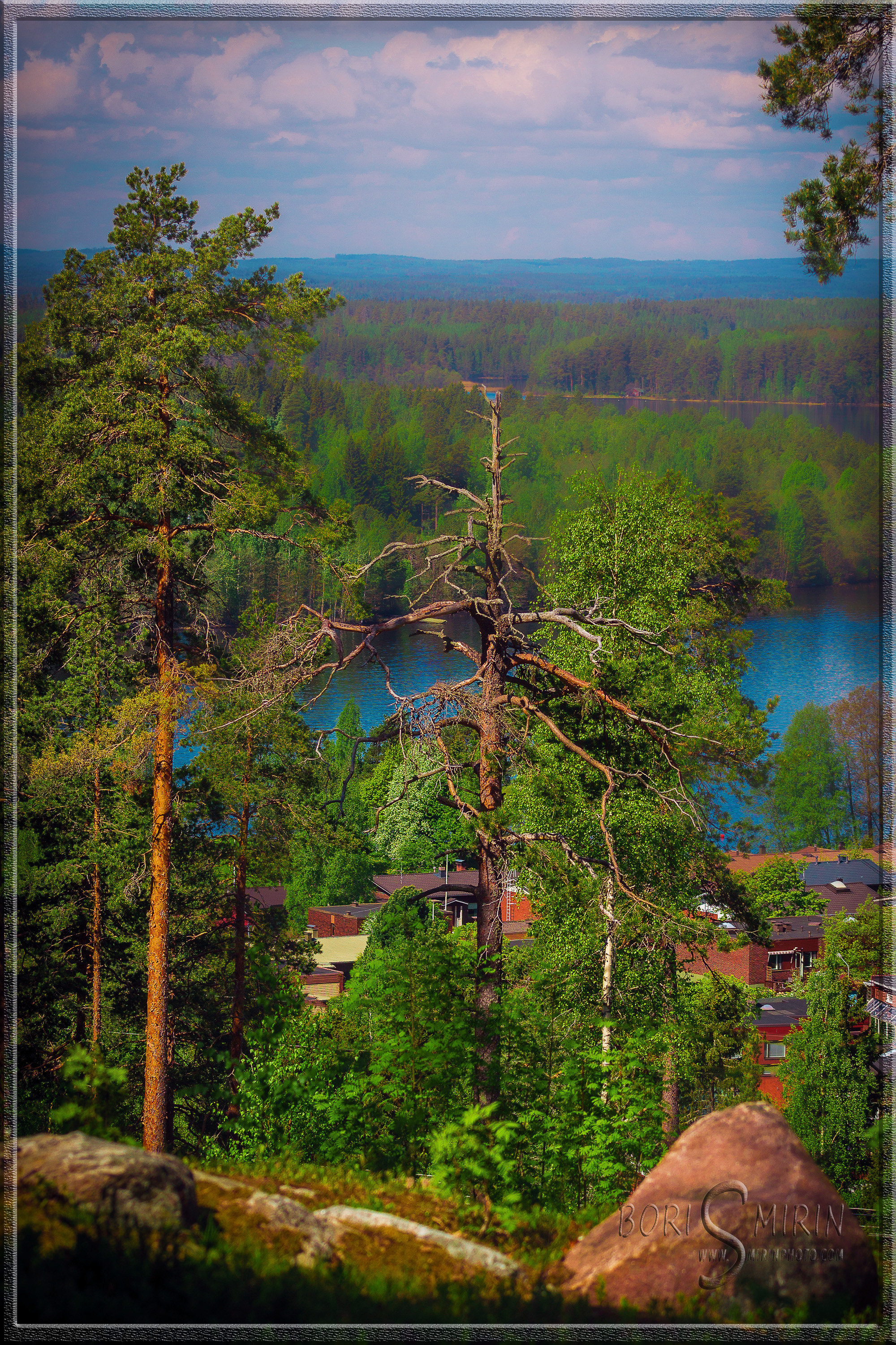 Luontokuvat. Kinosura Creative Studio Helsingissa ja Kuopiossa