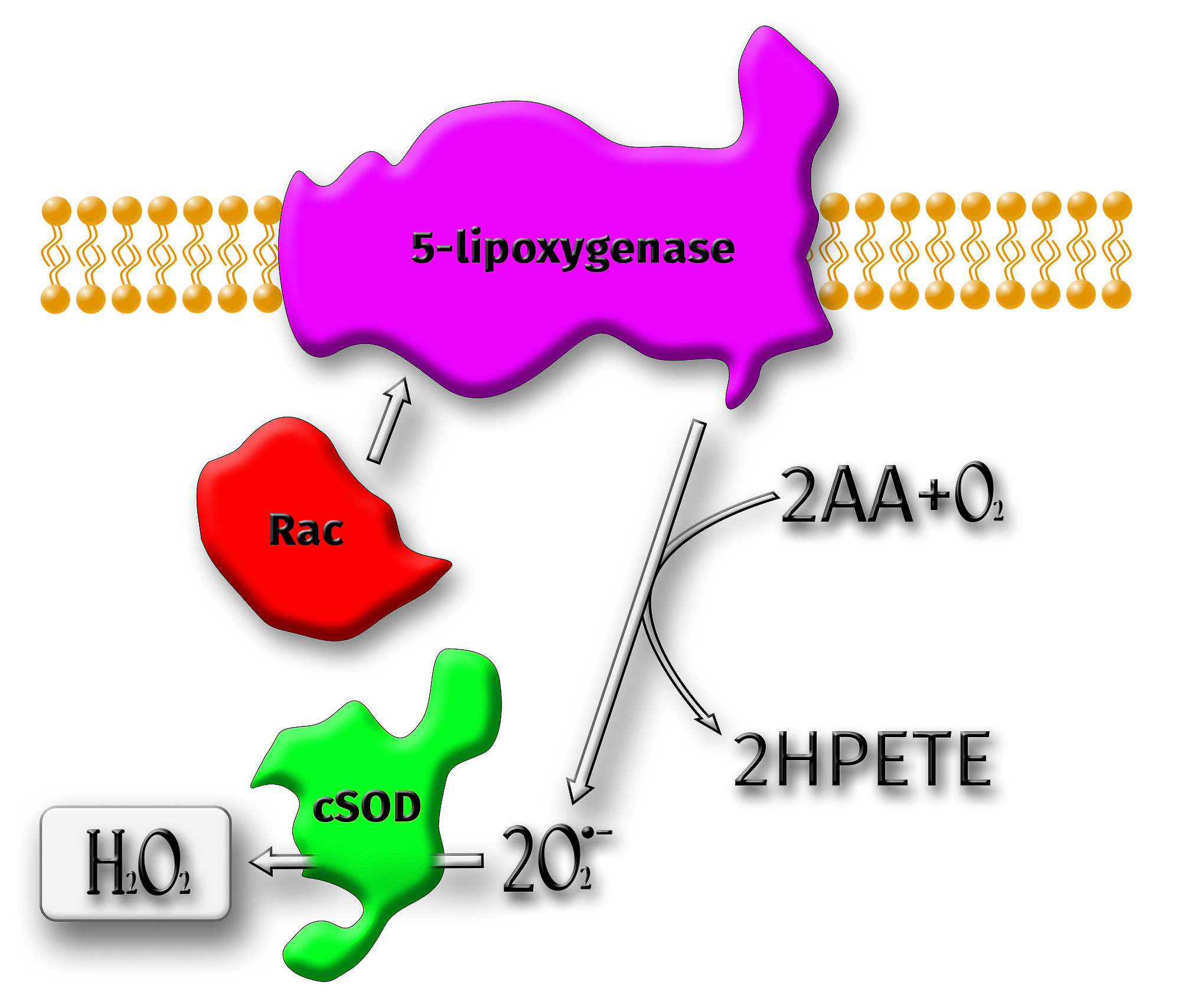 Graafinen suunnittelu. Kinosura Creative Studio Helsingissa ja Kuopiossa