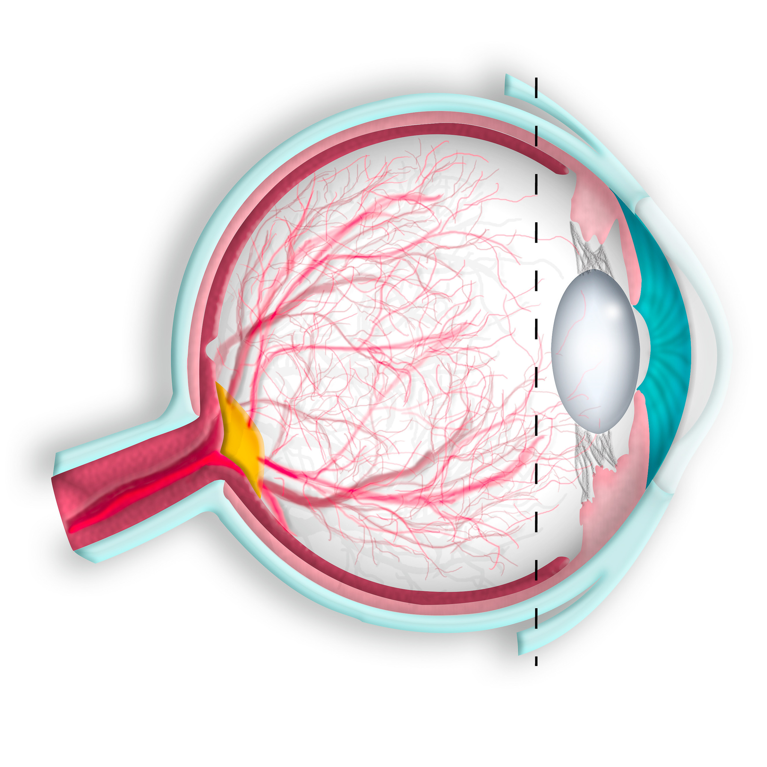 Graafinen suunnittelu. Kinosura Creative Studio Helsingissa ja Kuopiossa