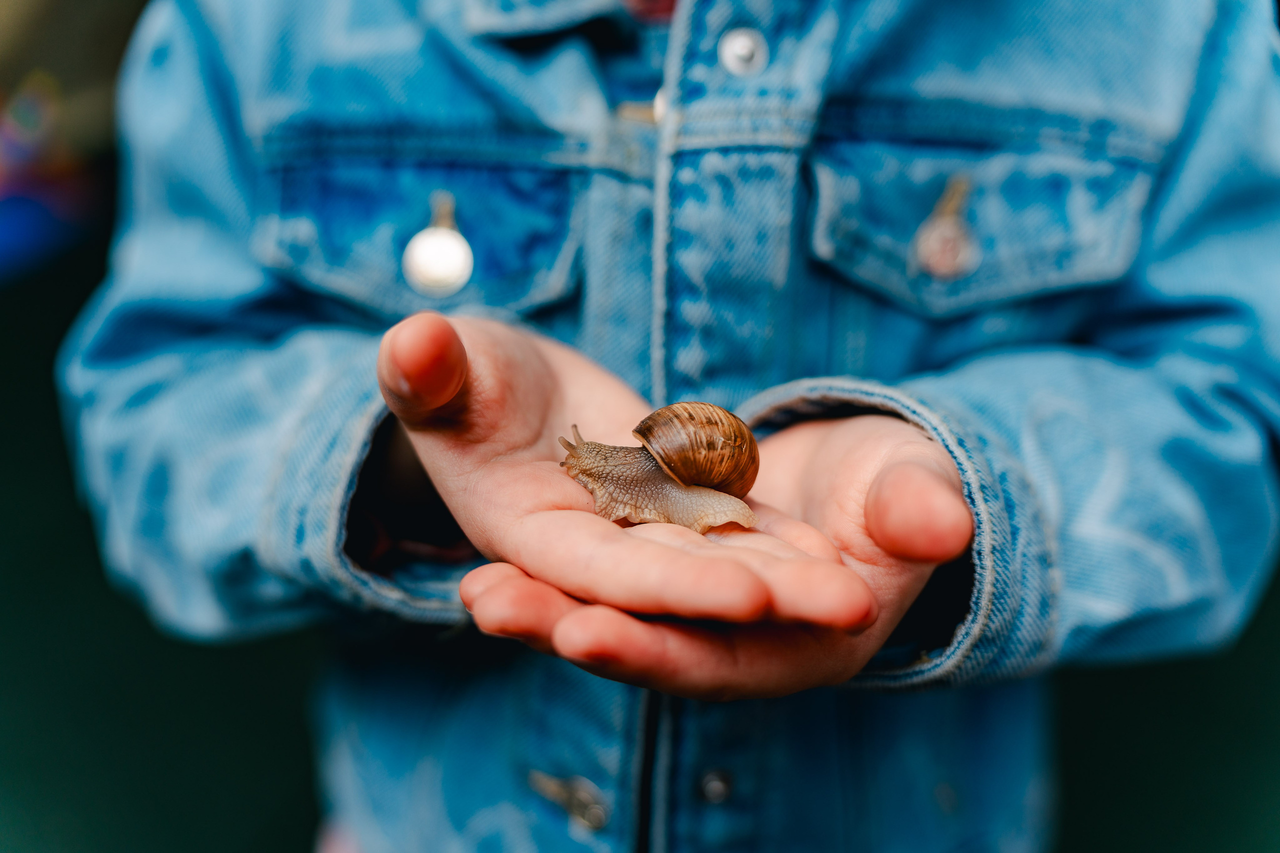 Miniterra Carusel. Liviu Andrei - Fotograf