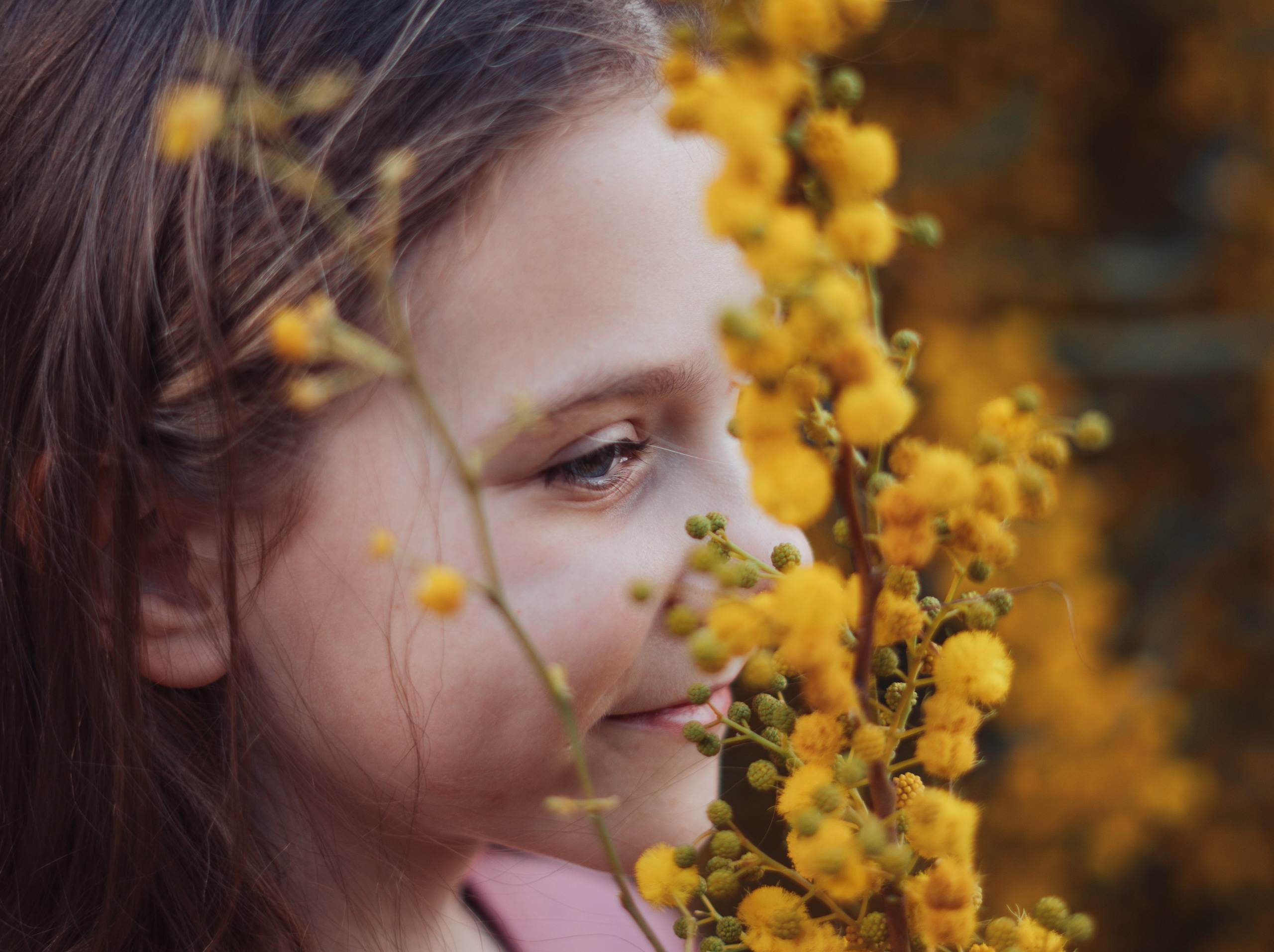 Мимоза. Анастасия Благова — Твой фотограф в Малаге 🇪🇸