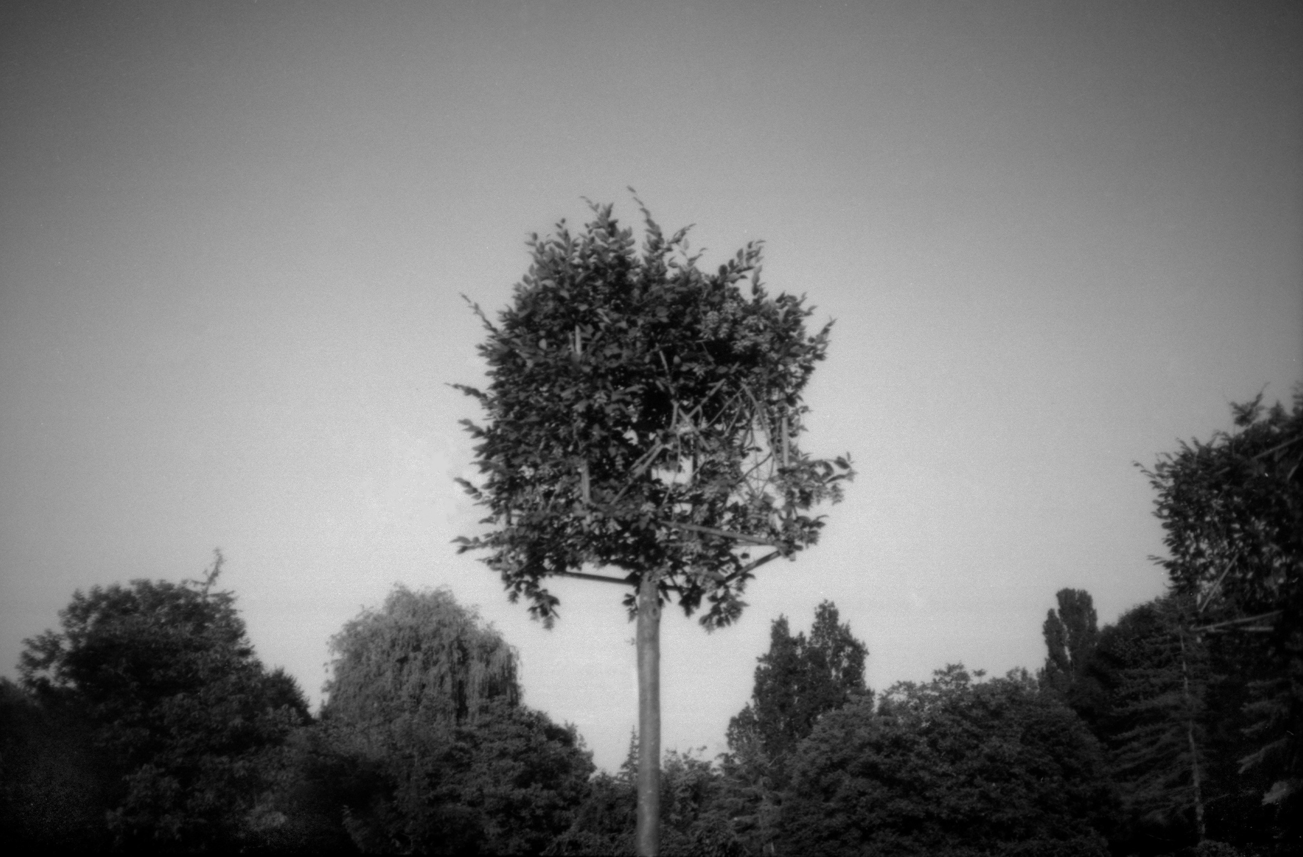 Silent light. Natalia Parfenova visual artist film photographer