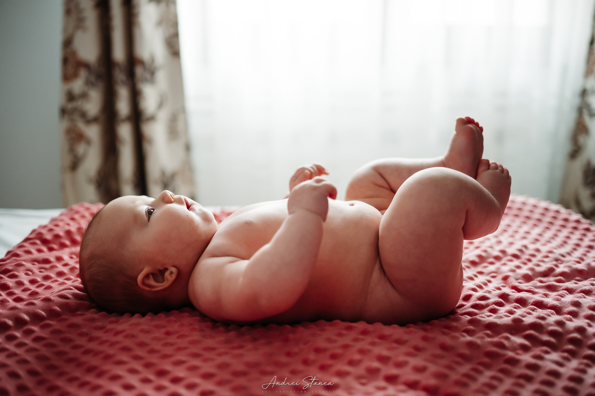 Zenayda. Andrei Stanea