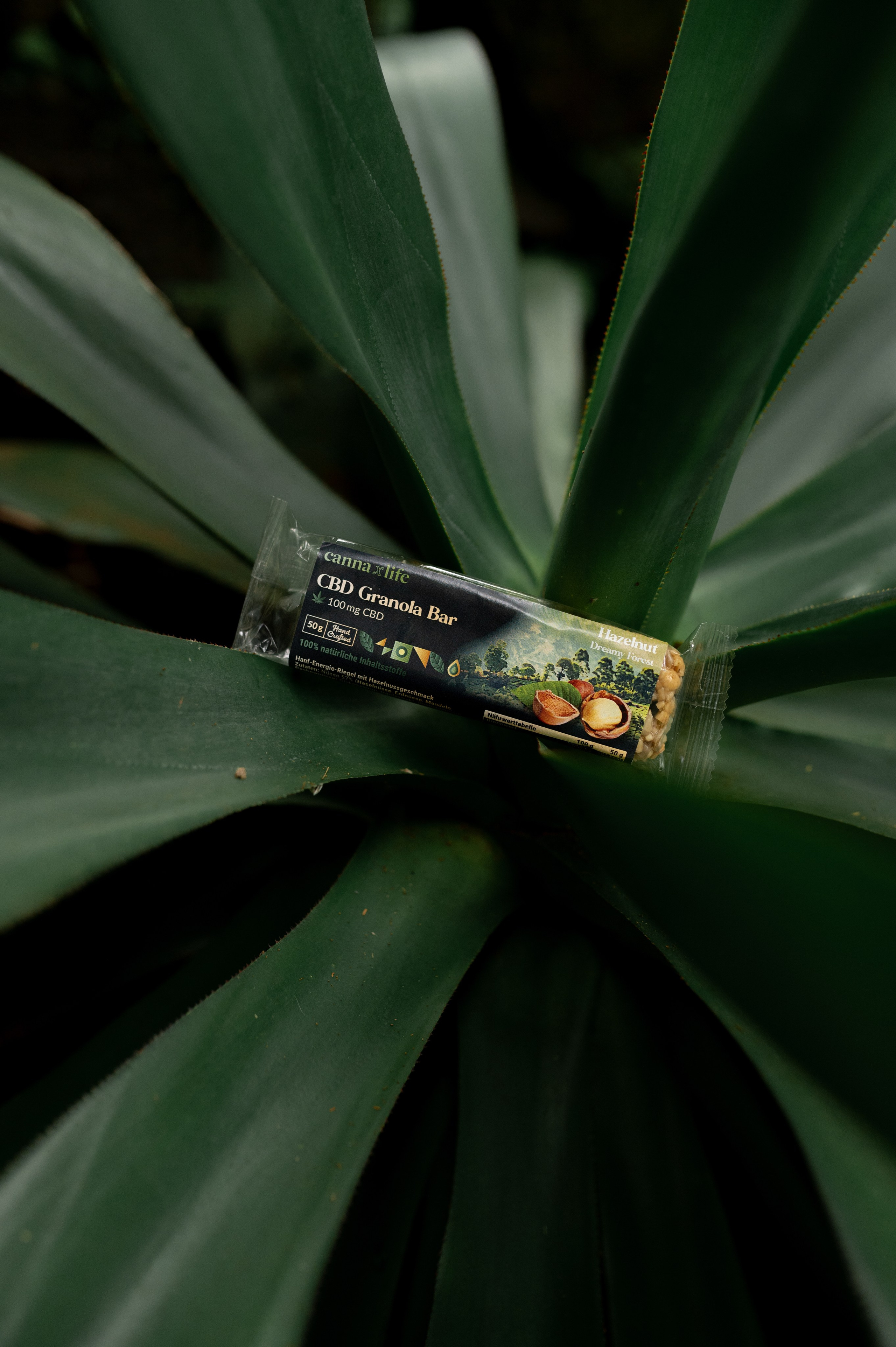 CannaXlife CBD products. ANNA-MARIA PHOTO CONTENT CREATOR — фотограф, естет, художник і візуальний експерт Instagram у Празі