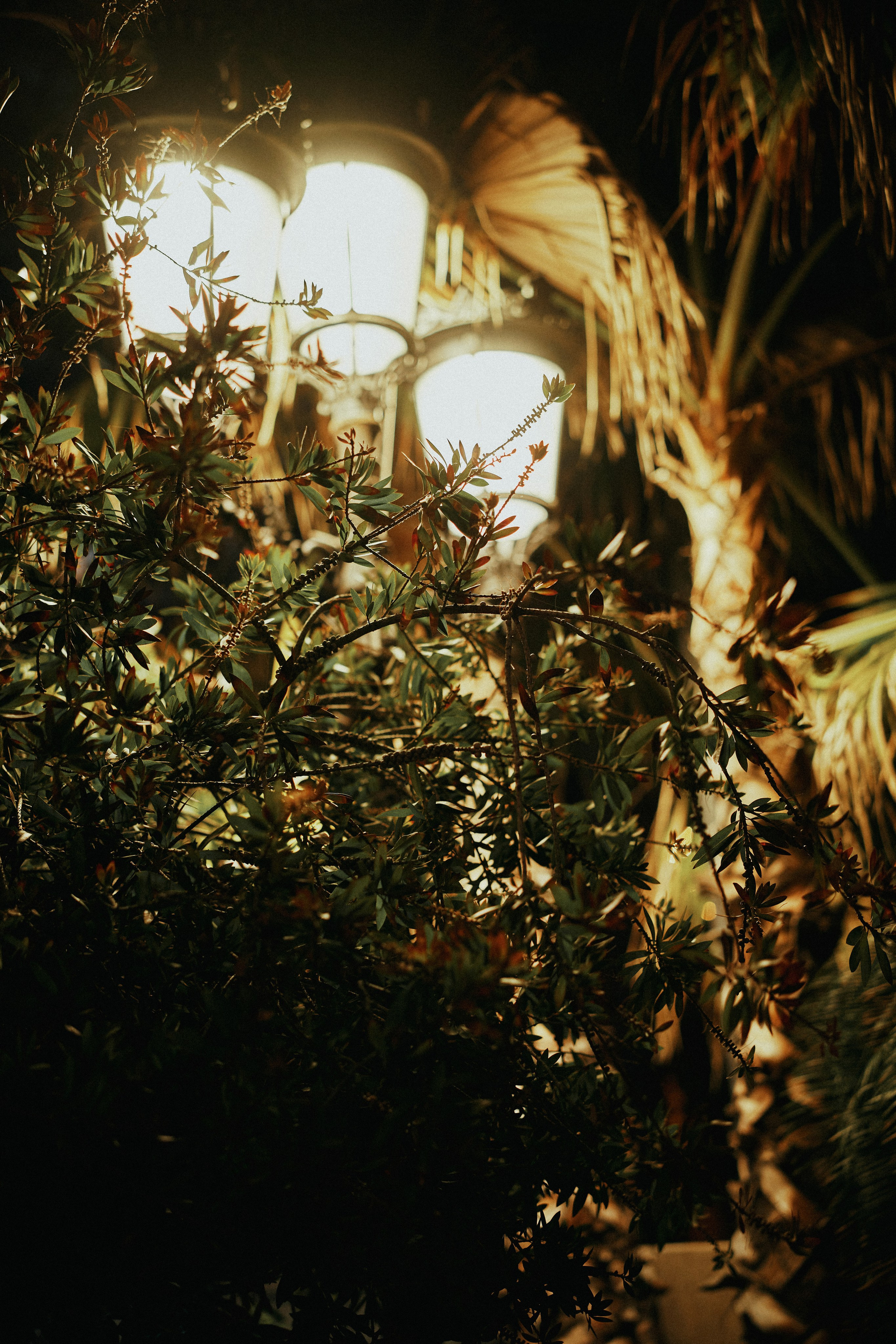 Рождественская прогулка. Виктория. Фотограф в Барселоне Жанна Захарченко