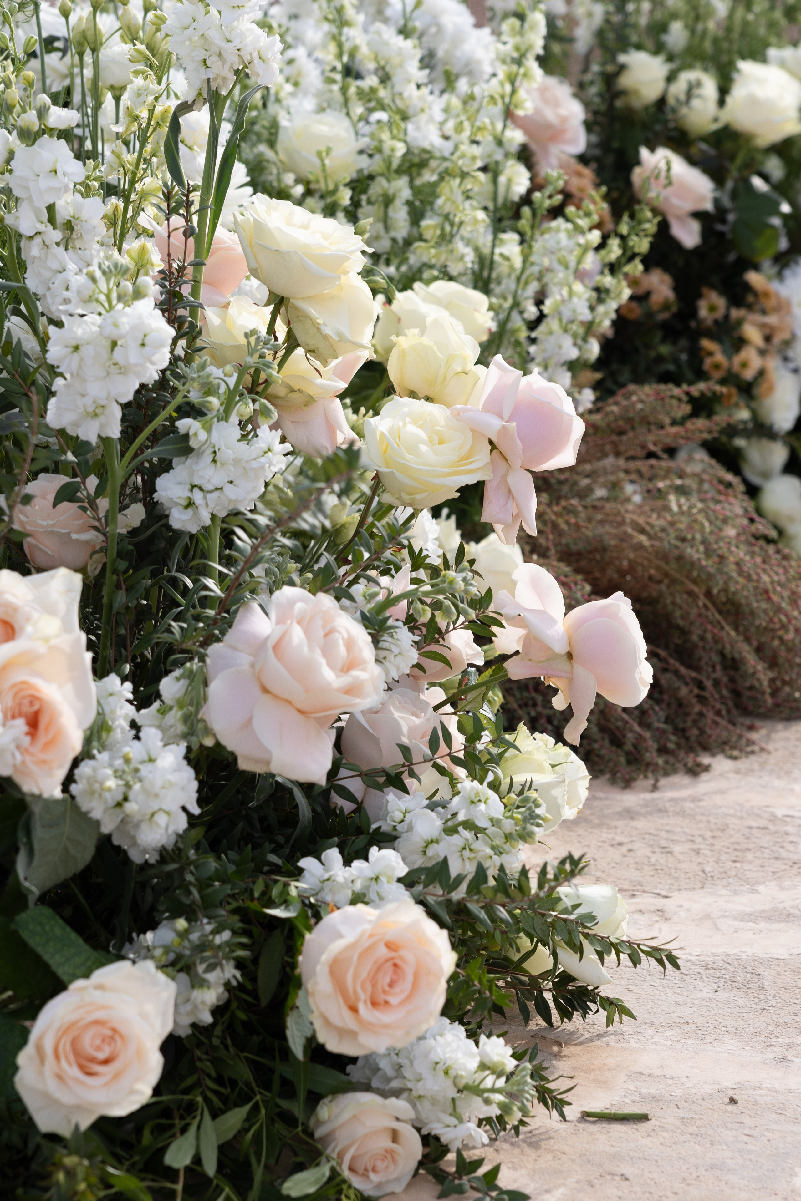 F&b. Wedding photography and videography in Regina, Saskatchewan