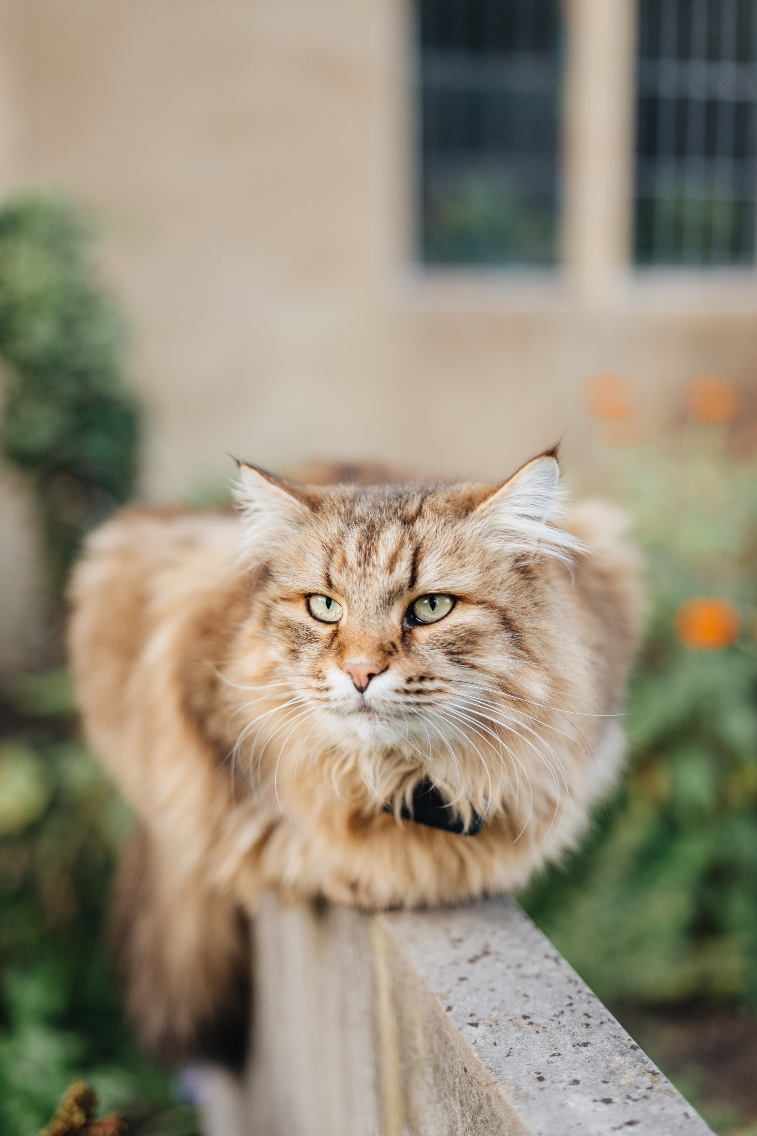 Irene and Juan. Wedding and family photographer in London