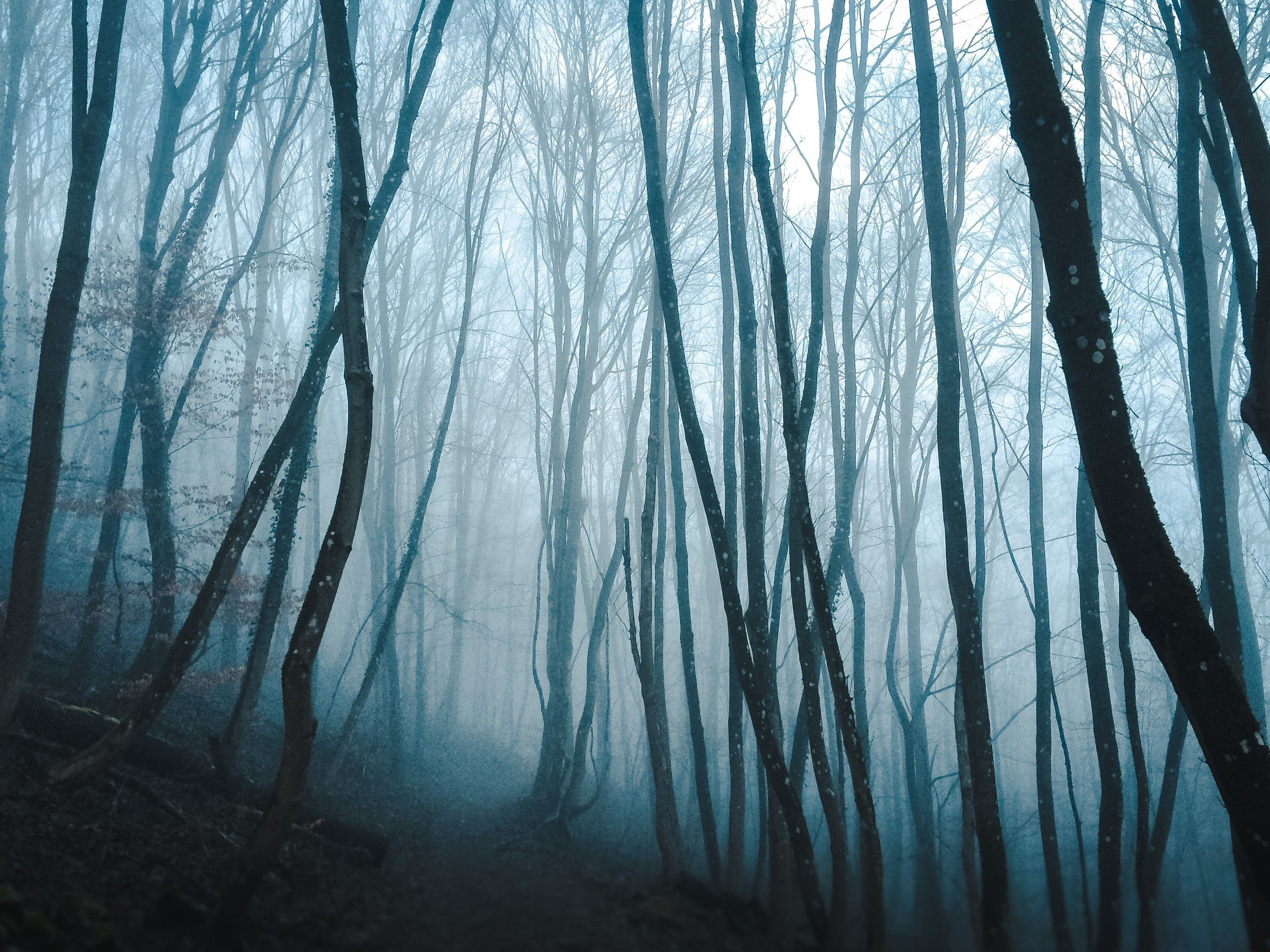 Трифельс: конструирование истории. Фотограф в Германии — Мария Чистякова