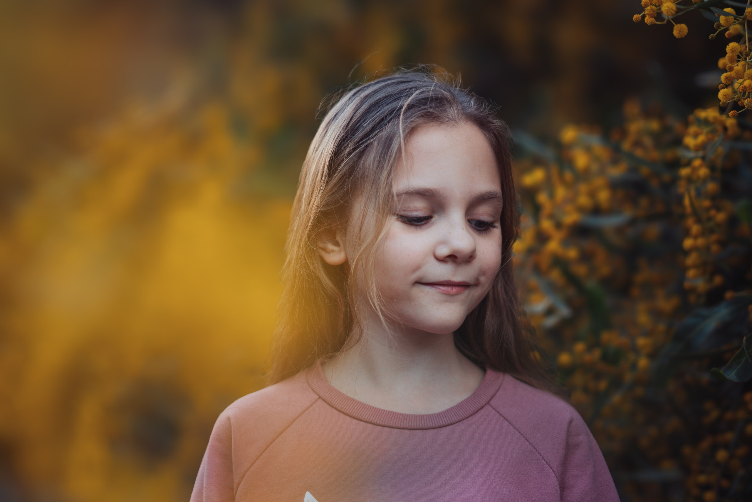 Мимоза. Анастасия Благова — Твой фотограф в Малаге 🇪🇸