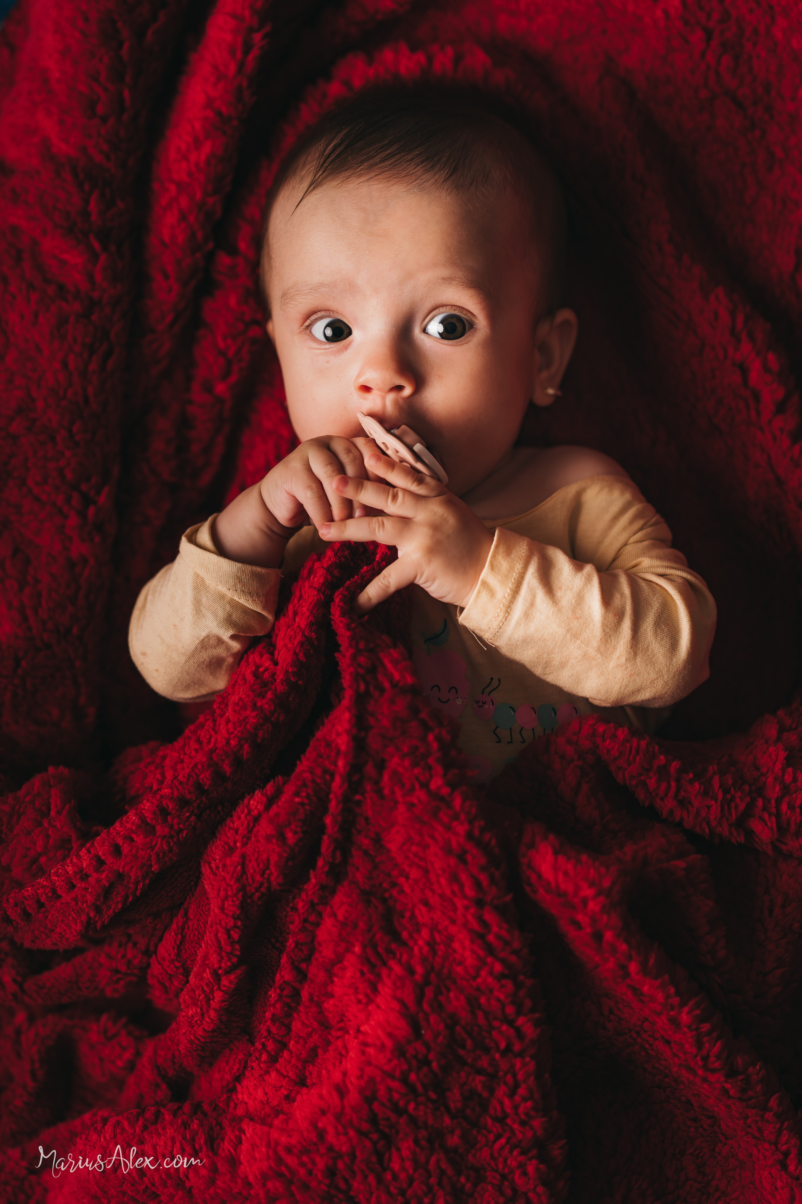 Sofia. Marius Alex fotograf de eveniment si portret din Suceava