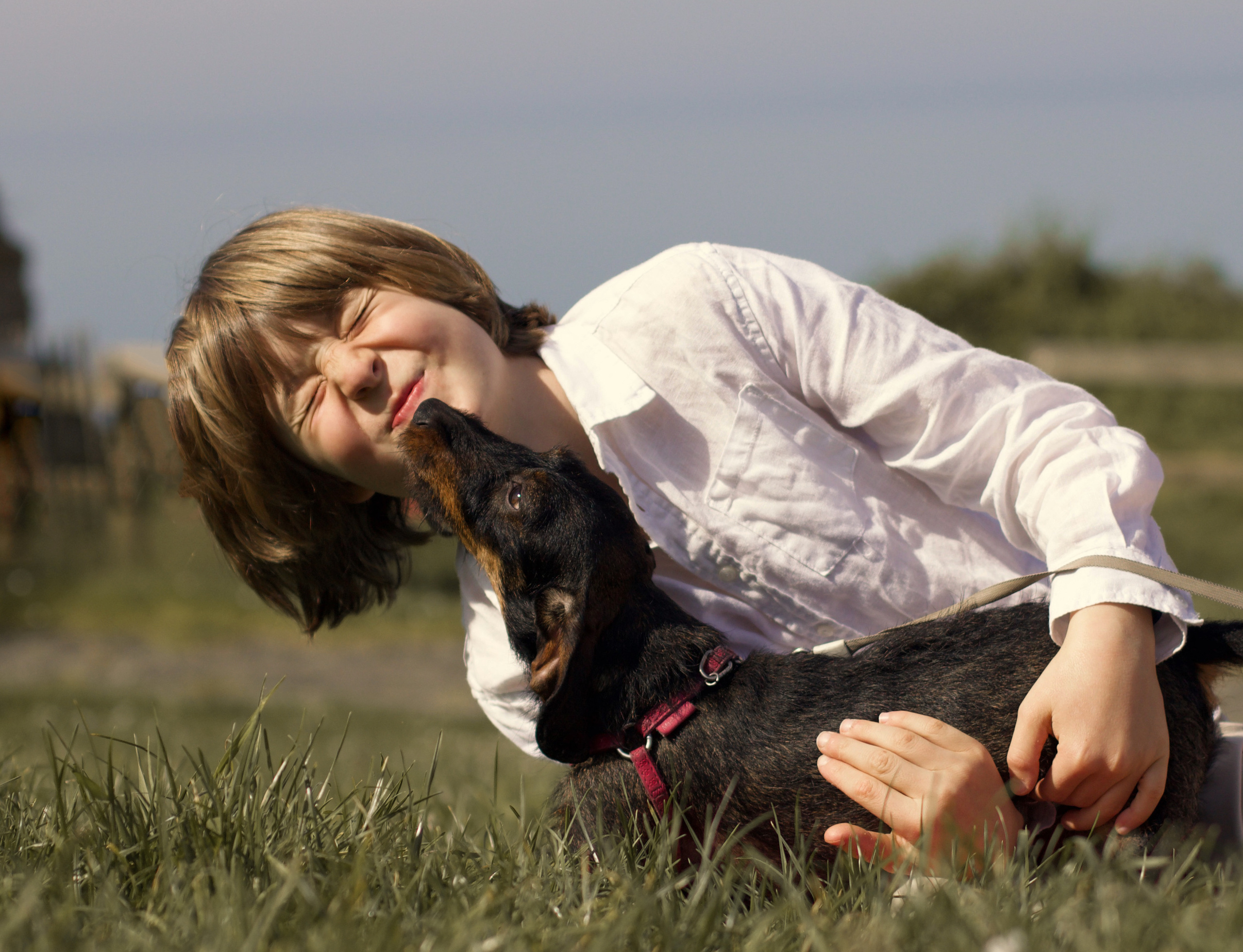 Séance photo avec votre animal de compagnie