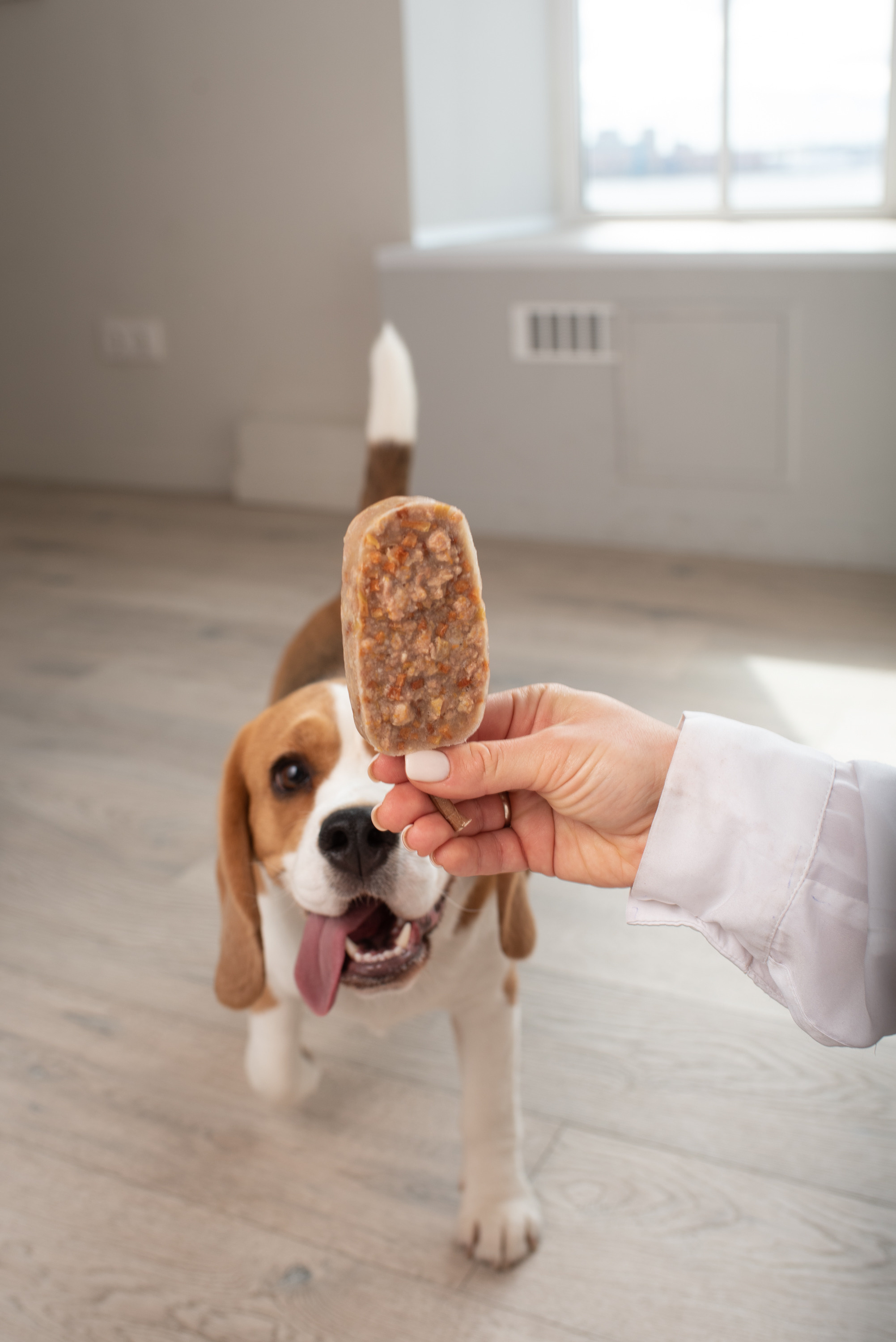 Коммерческая и рекламная съёмка с участием животных. Фотограф в Белграде Таня Асфирь