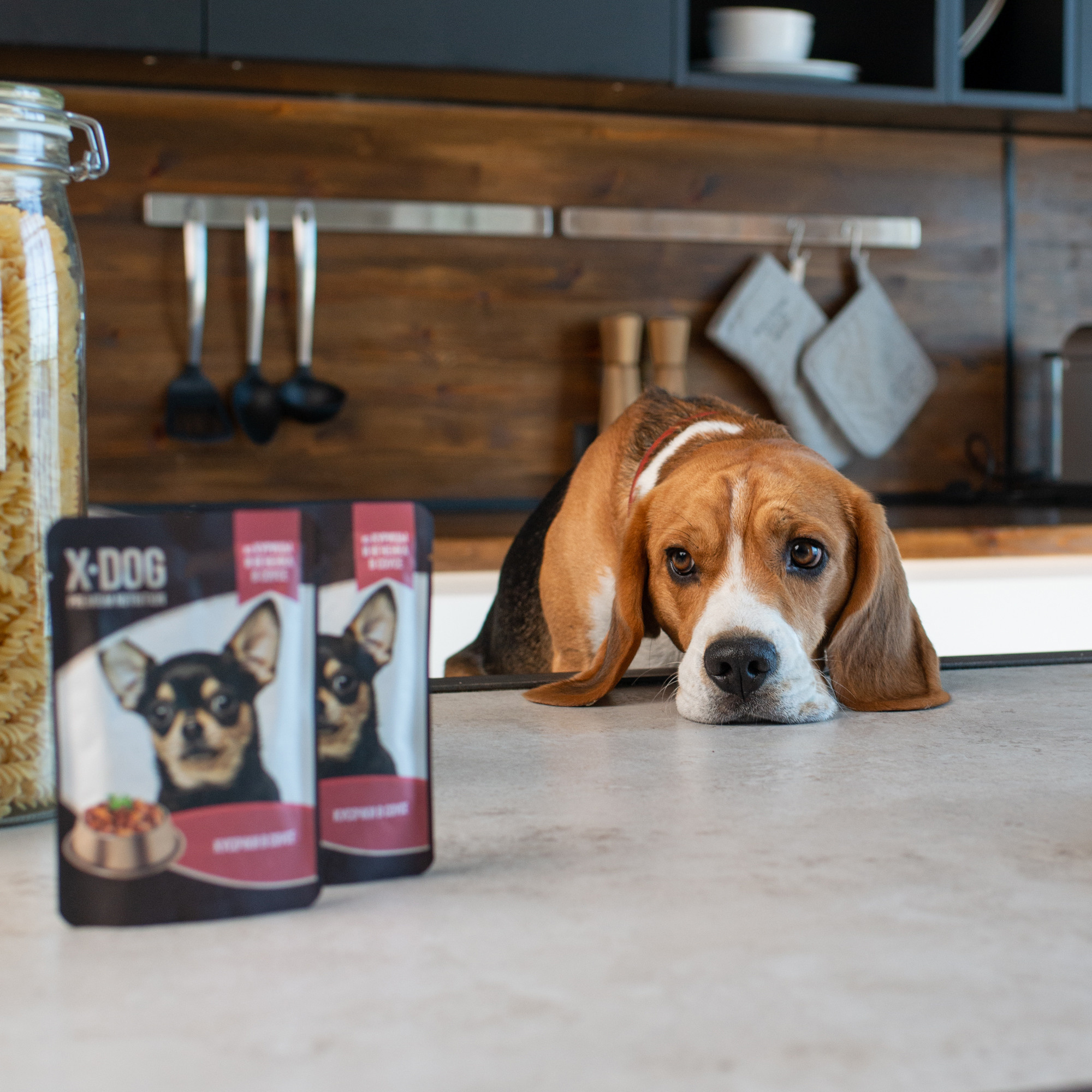 Коммерческая и рекламная съёмка с участием животных. Фотограф в Белграде Таня Асфирь