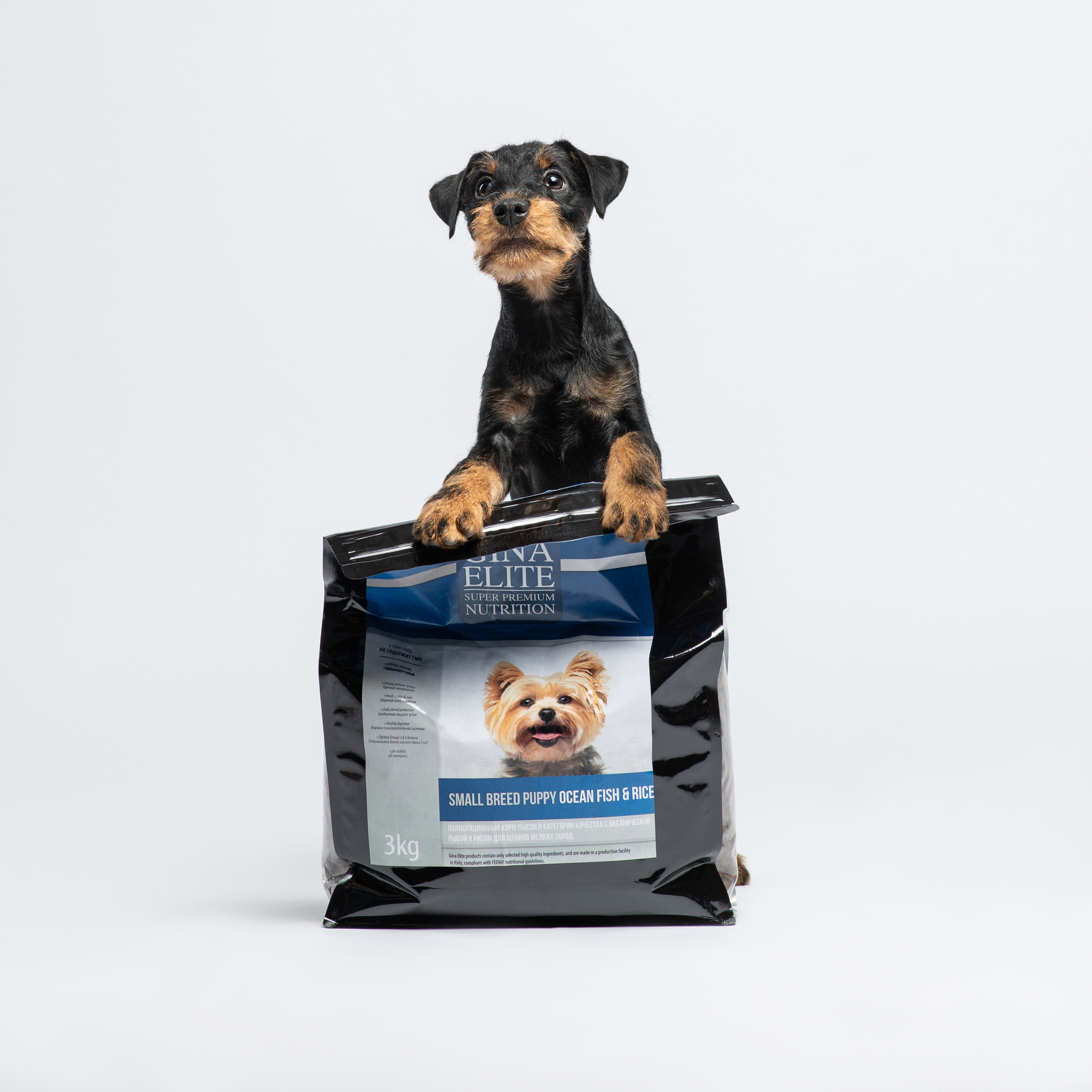 Коммерческая и рекламная съёмка с участием животных. Фотограф в Белграде Таня Асфирь