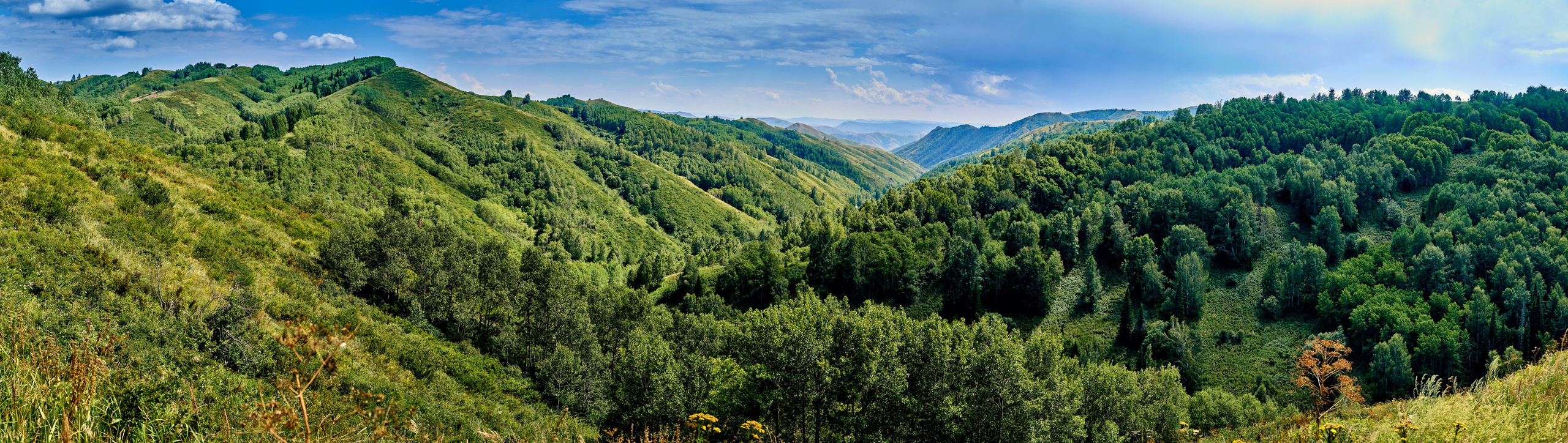 Бухтарма. Андрей Шипилов — Фотография & Видеография