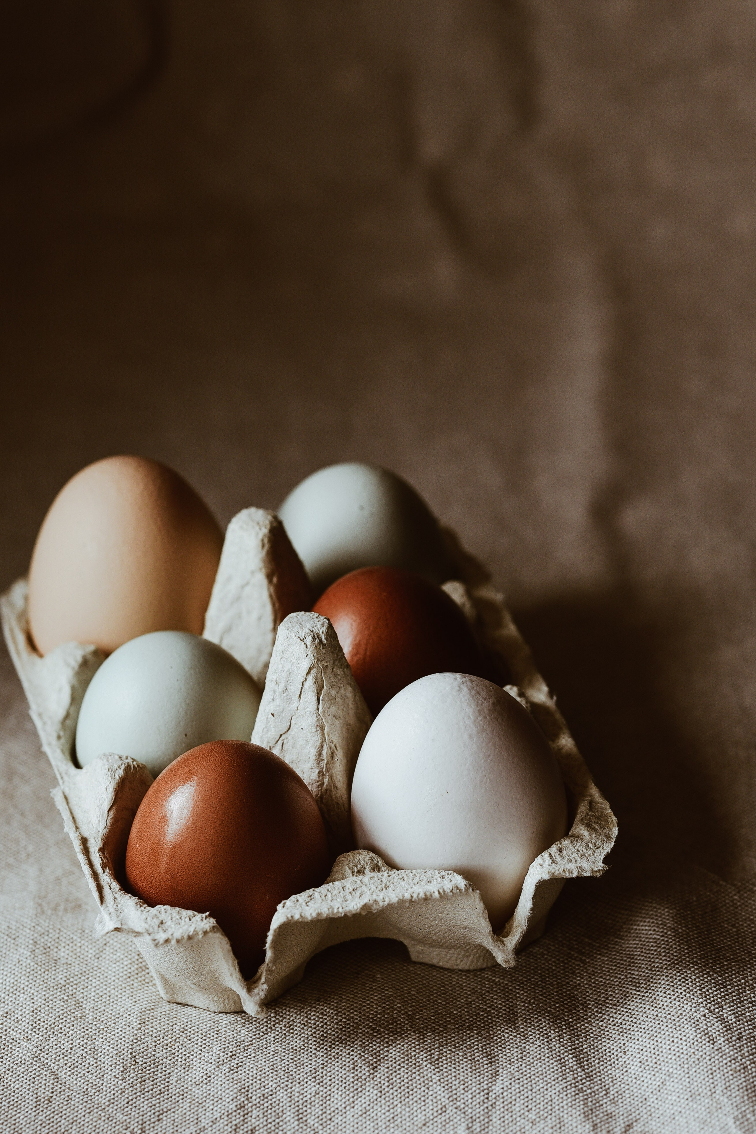 Ei. Familienfotografin aus Sterzing Elena Muehlsteiger