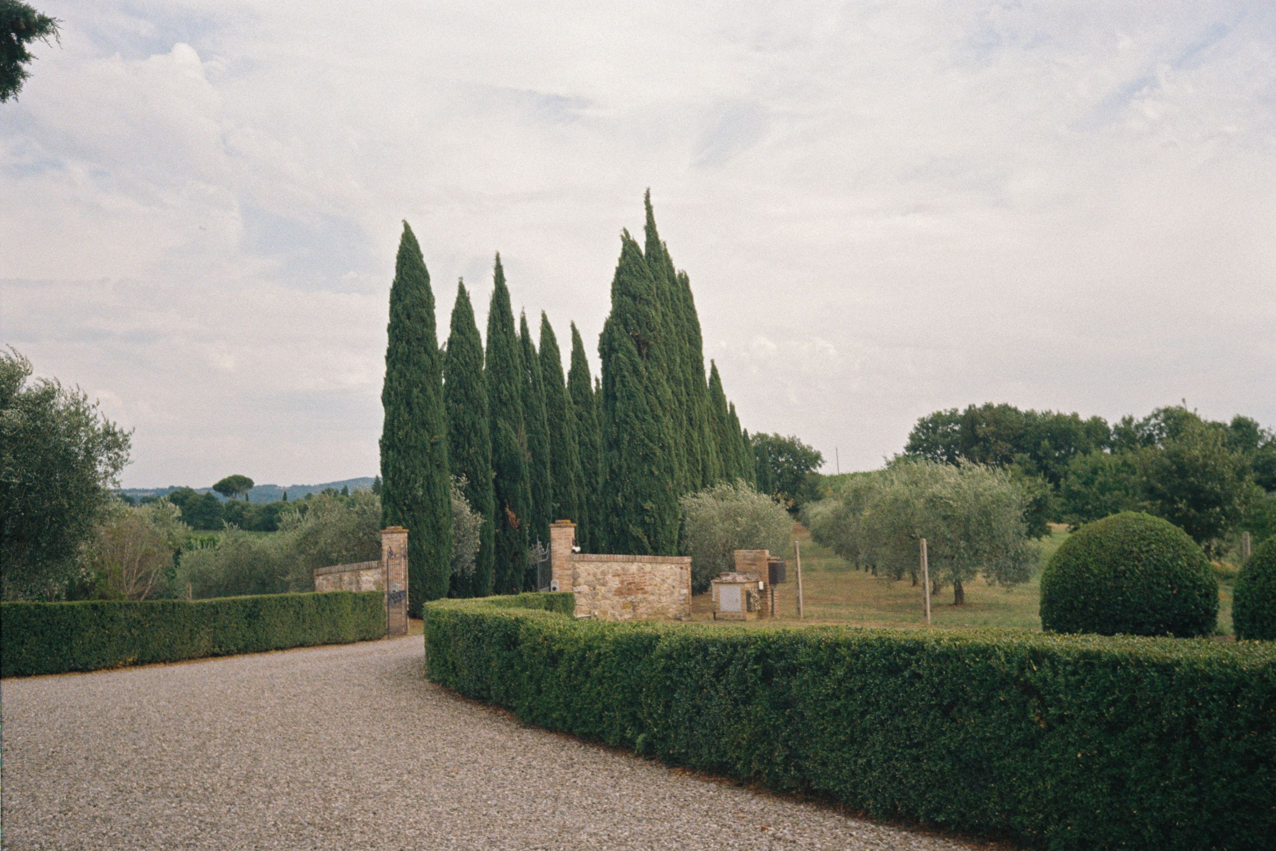 Film 35 mm. Wedding Photographer Rome Tuscany Como Sicily Puglia Amalfy Italy- Oksana Savenchuk