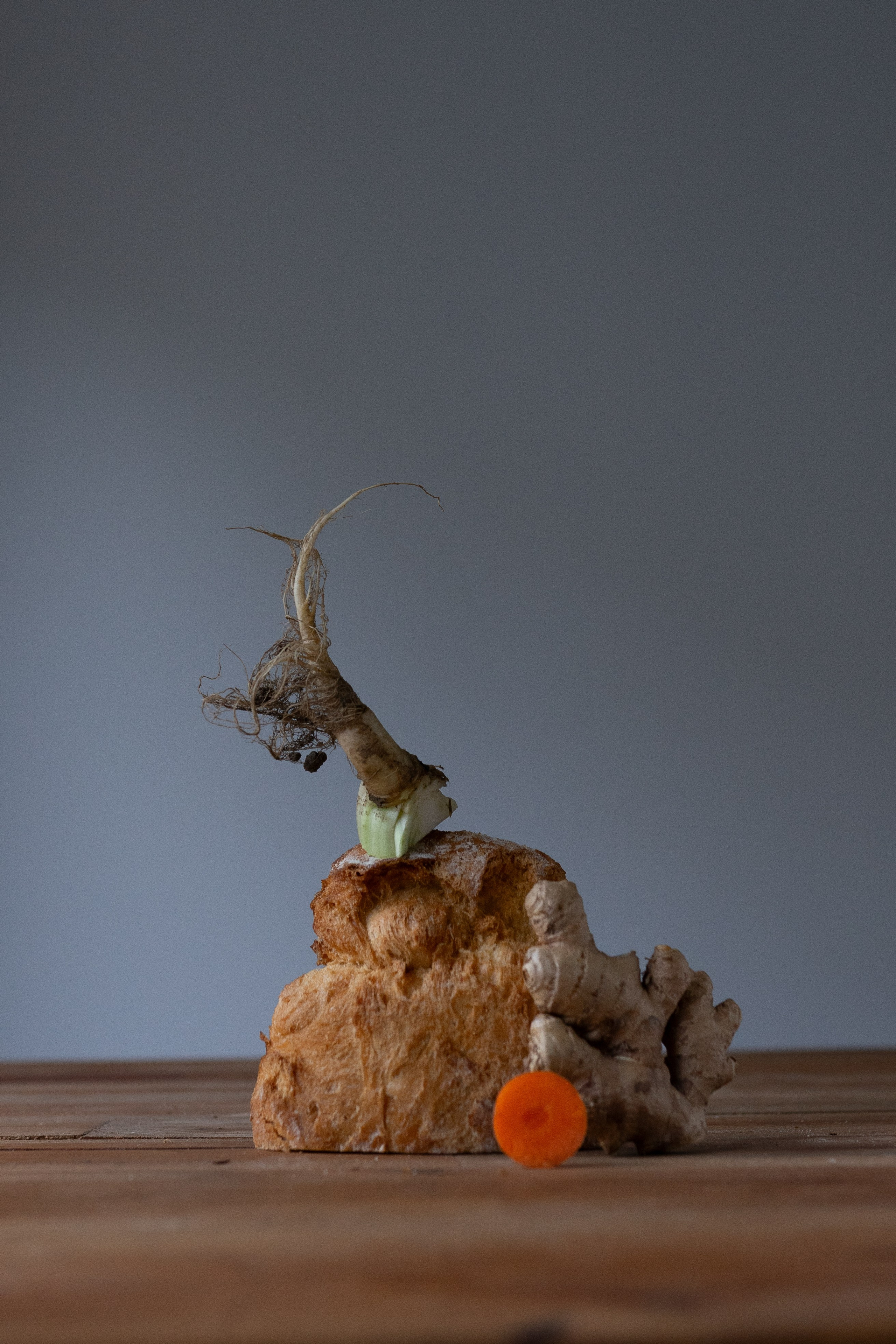 Roots. Мария Шер. Профессиональный фотограф в городе Порту, Португалия