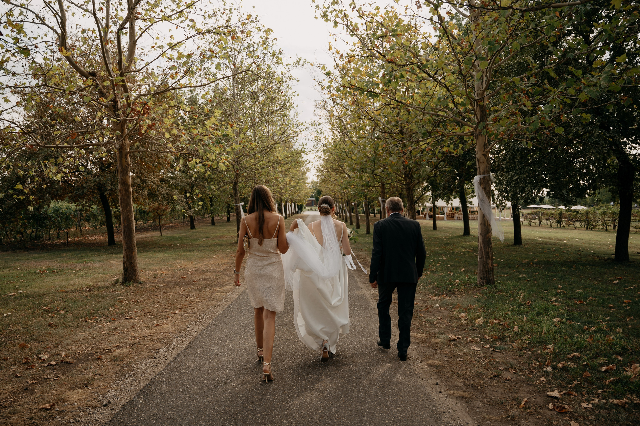 Vivi + Gábor. Kezdőlap