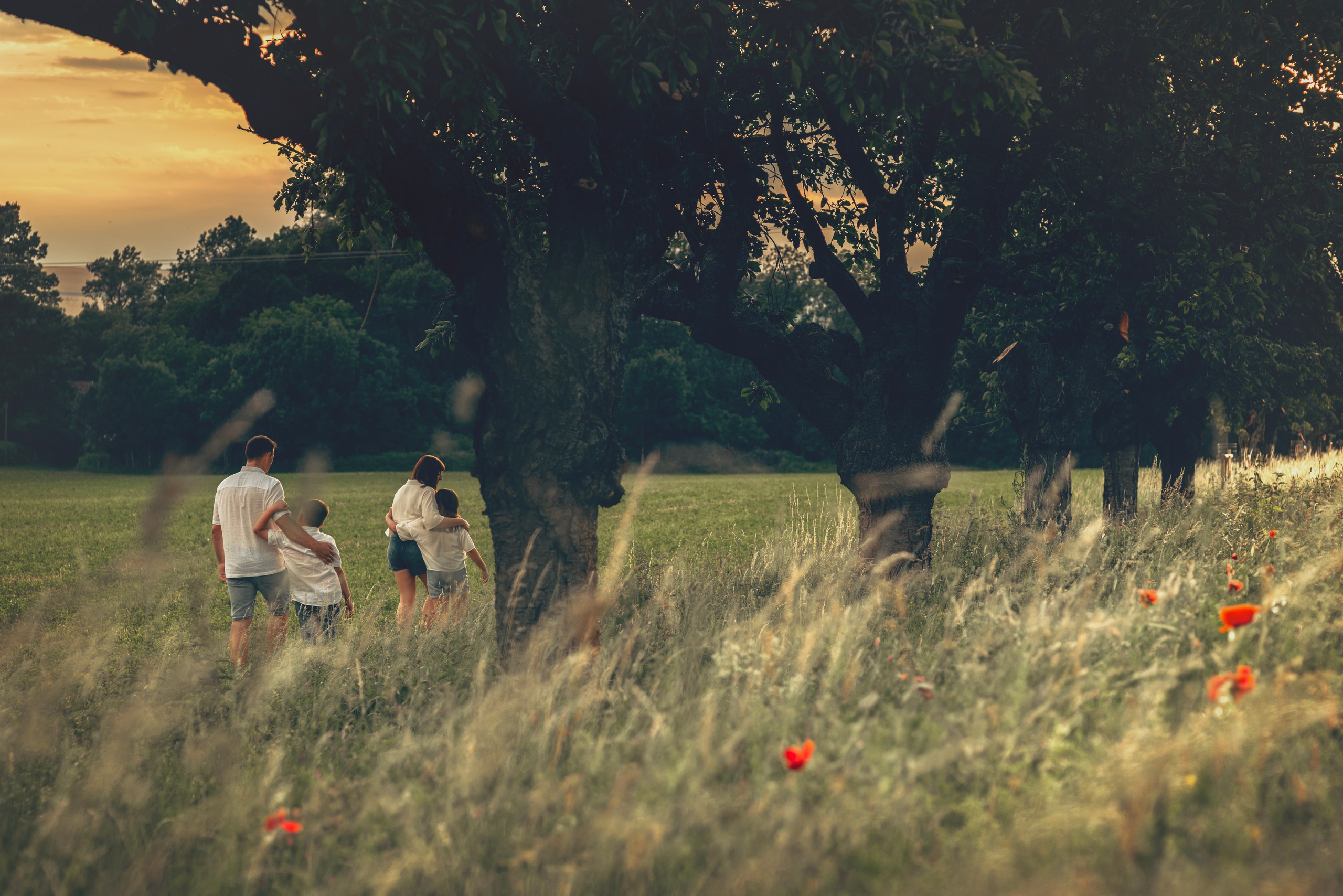 FAMILY PALUS. Photographer and videographer in Norway and Slovakia Andrea Zemko