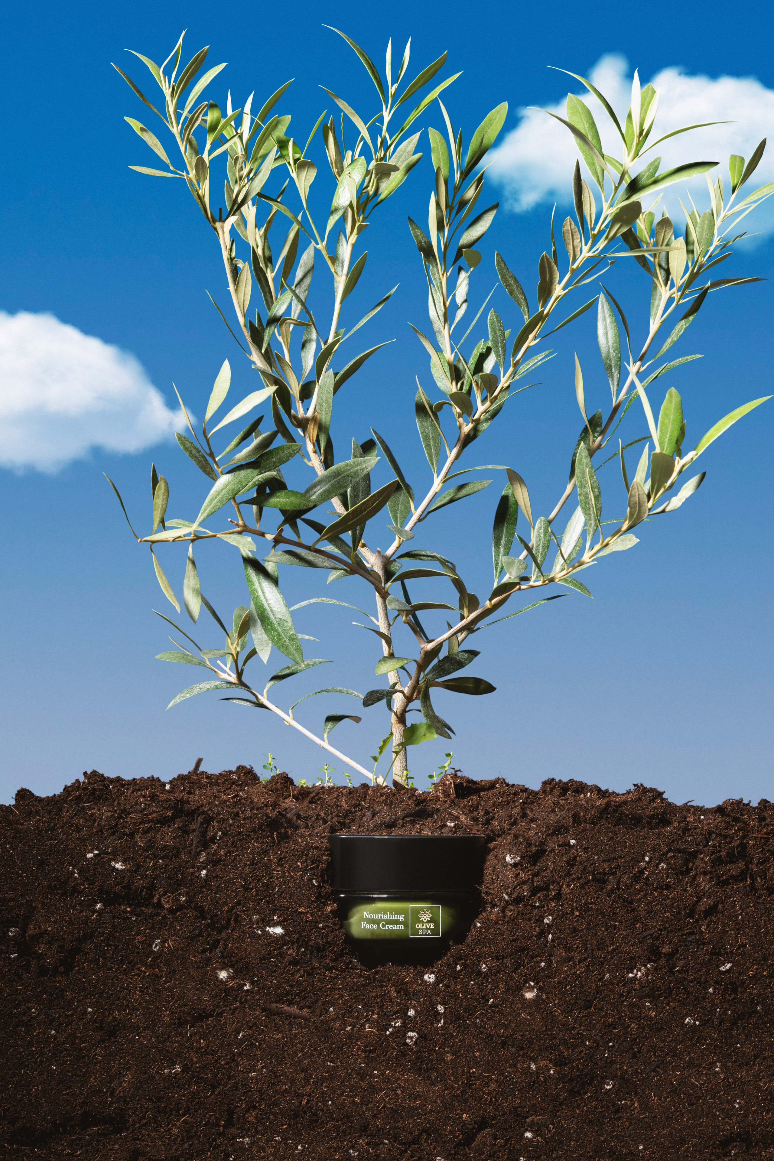 Предметный Фотограф Крит | Ираклион. Фотограф Крит | Портретный Фотограф | Evgenios Paopano