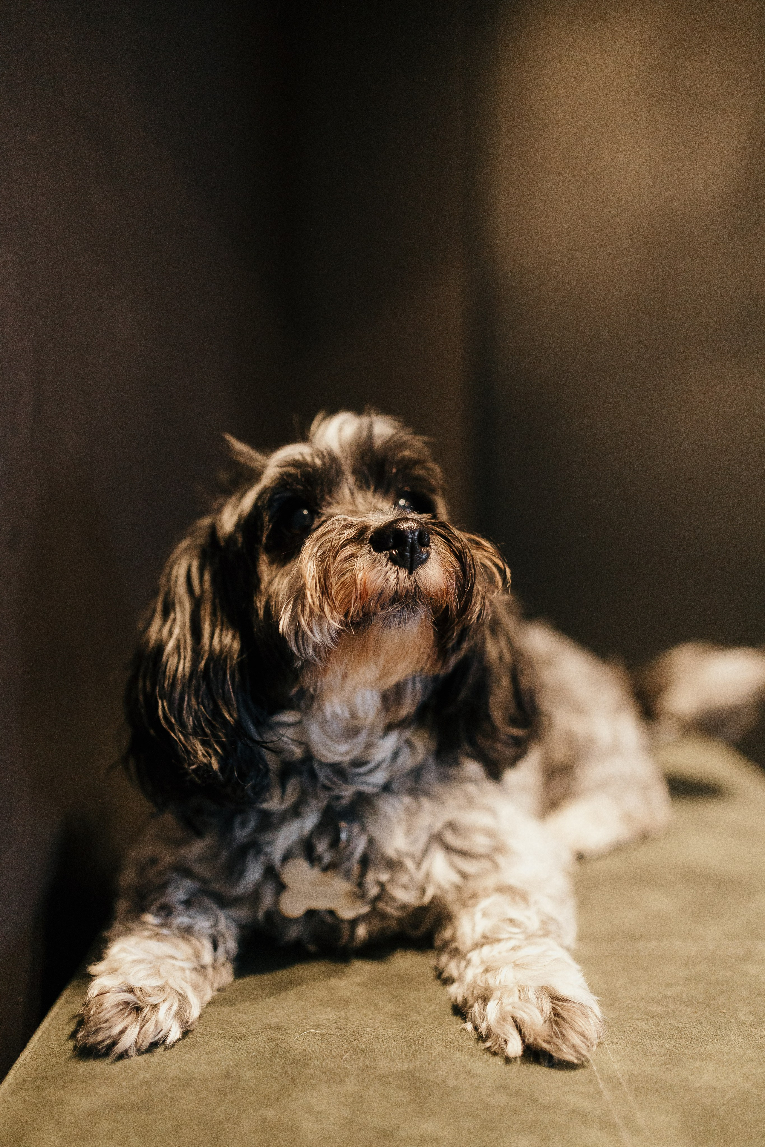 Baptism Zoe. Ionutdraganfoto.com