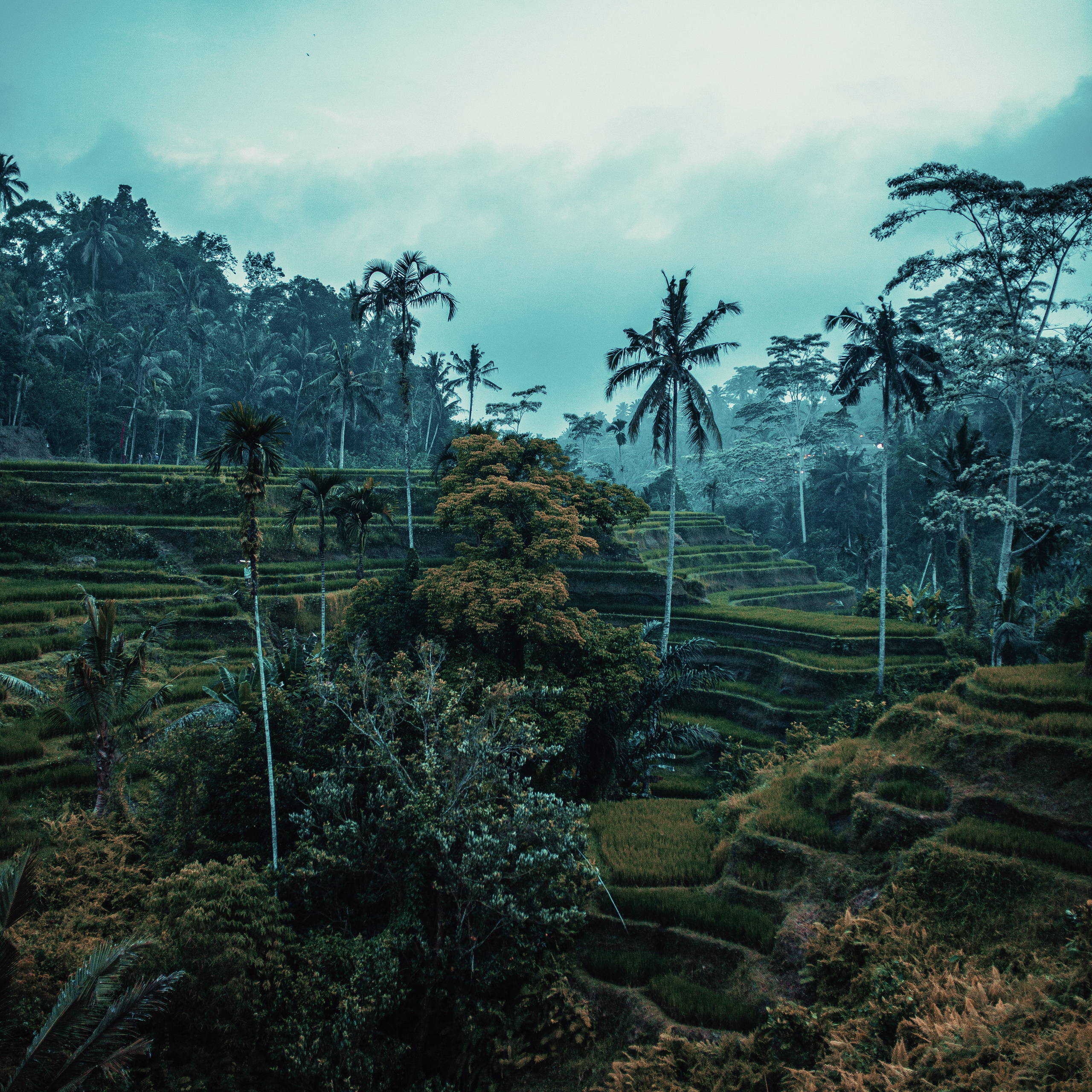 Colorful and unique travel profile pack for Lightroom and Camera Raw. Mark Smilyanic | Portrait and Adventure Photographer from Belgrade