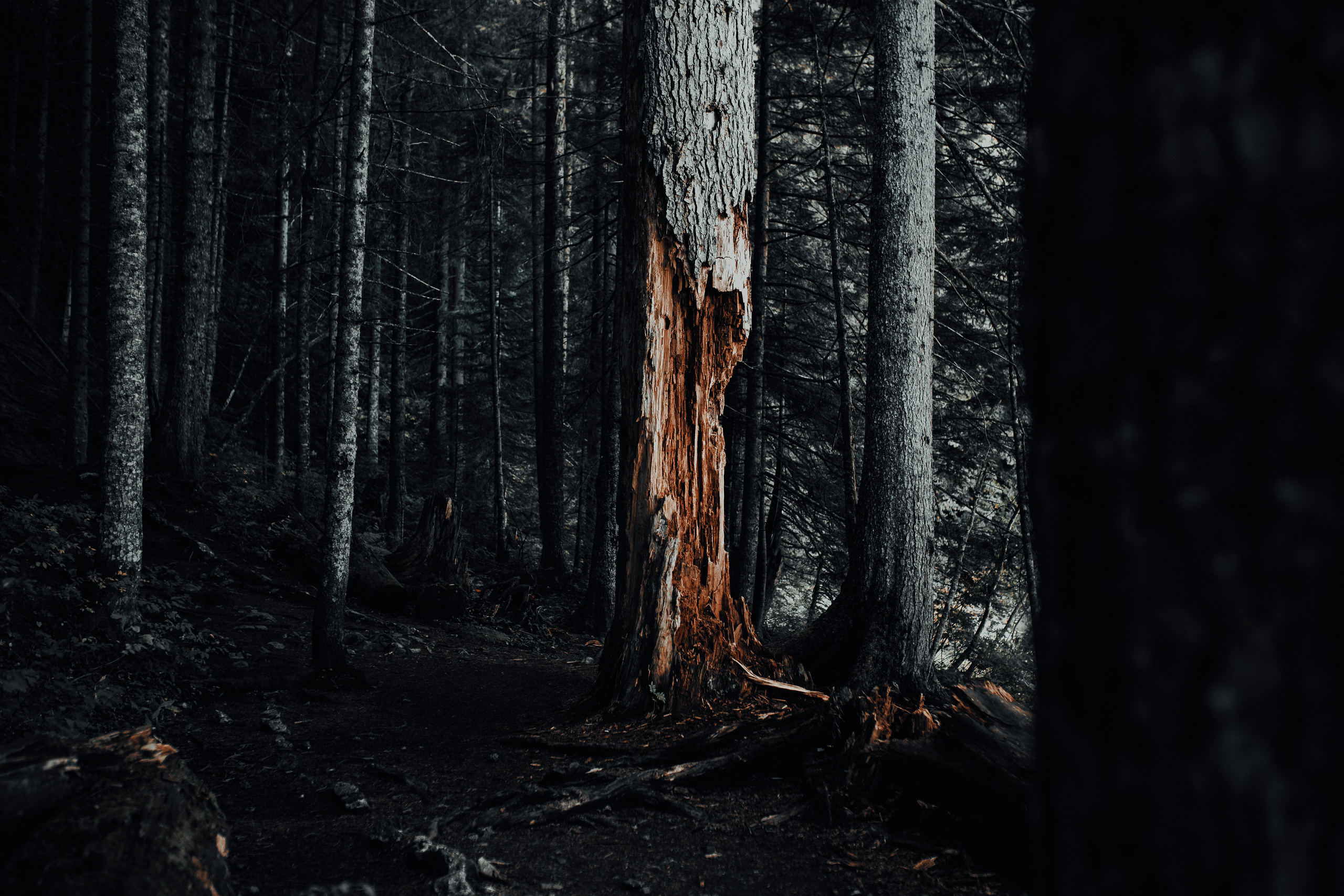 Moody color palette optimized for travel photography. Mark Smilyanic | Portrait and Adventure Photographer from Belgrade