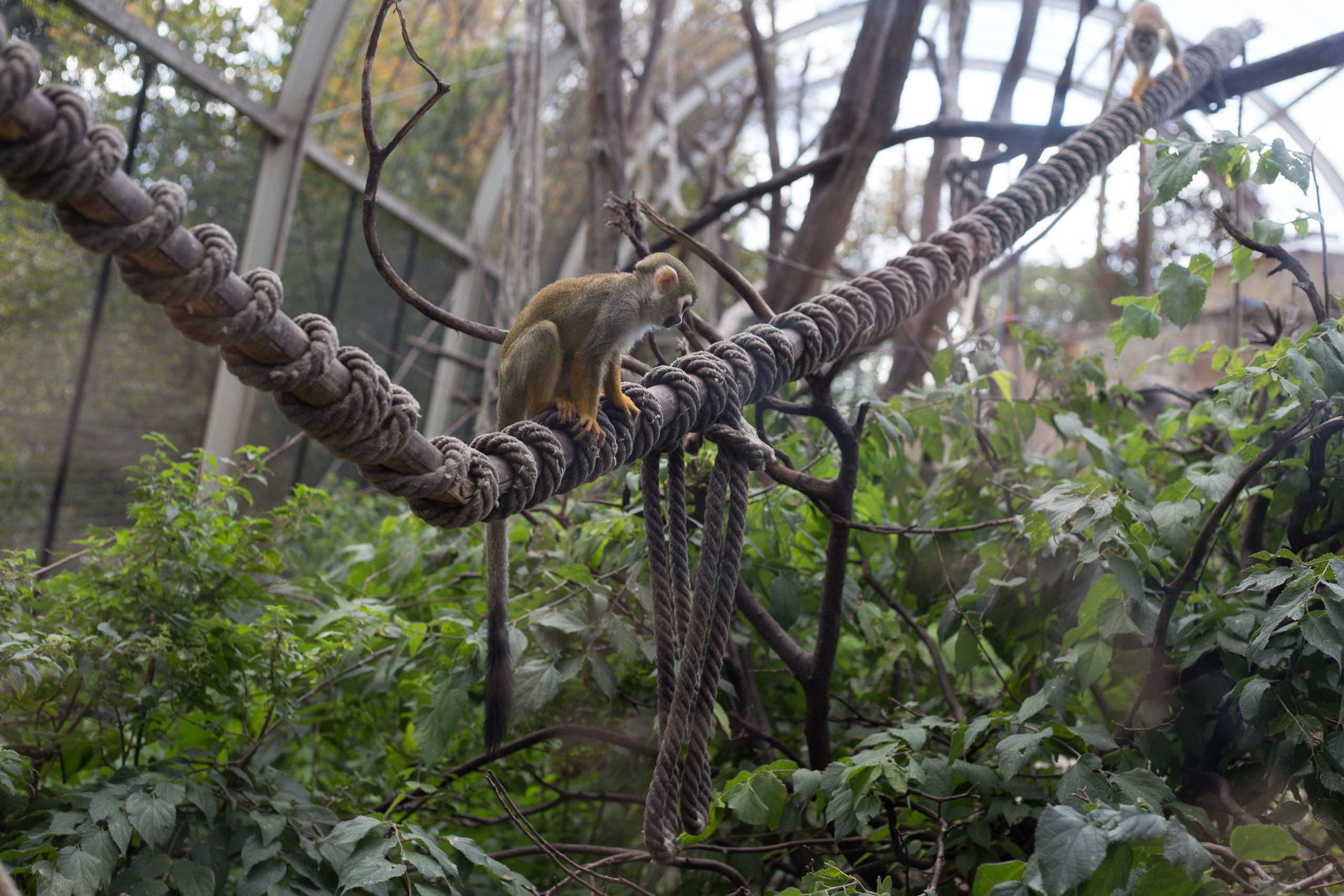 Colorful and unique travel profile pack for Lightroom and Camera Raw. Mark Smilyanic | Portrait and Adventure Photographer from Belgrade