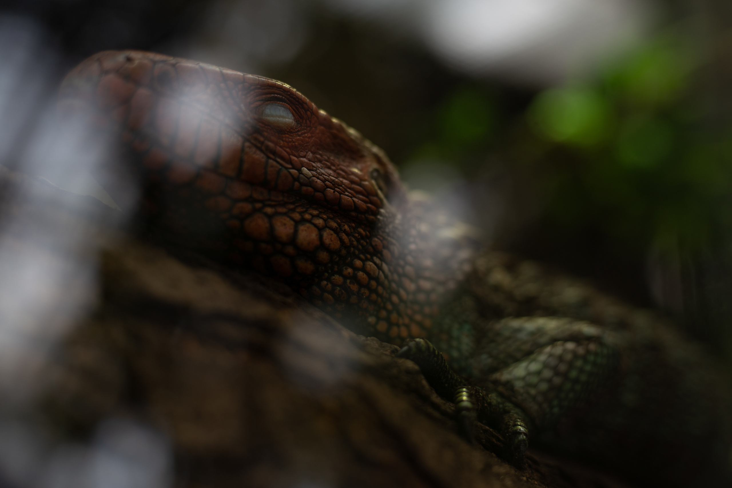 Mračni paket preseta namenjen travel fotografiji. Mark Smilyanic | Portretni boudoir fotograf iz Beograda