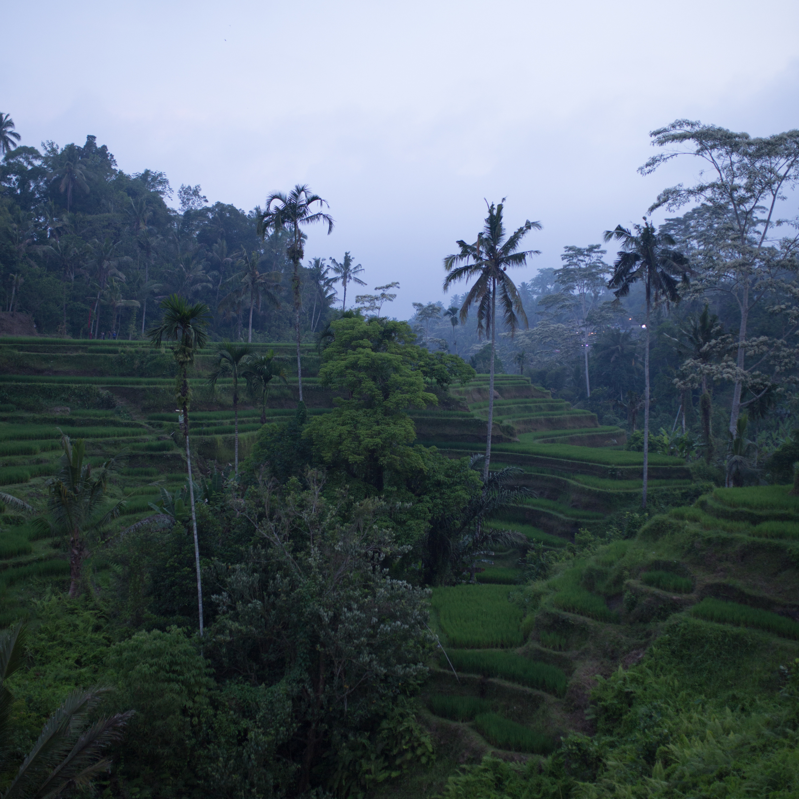 Colorful and unique travel profile pack for Lightroom and Camera Raw. Mark Smilyanic | Portrait and Adventure Photographer from Belgrade