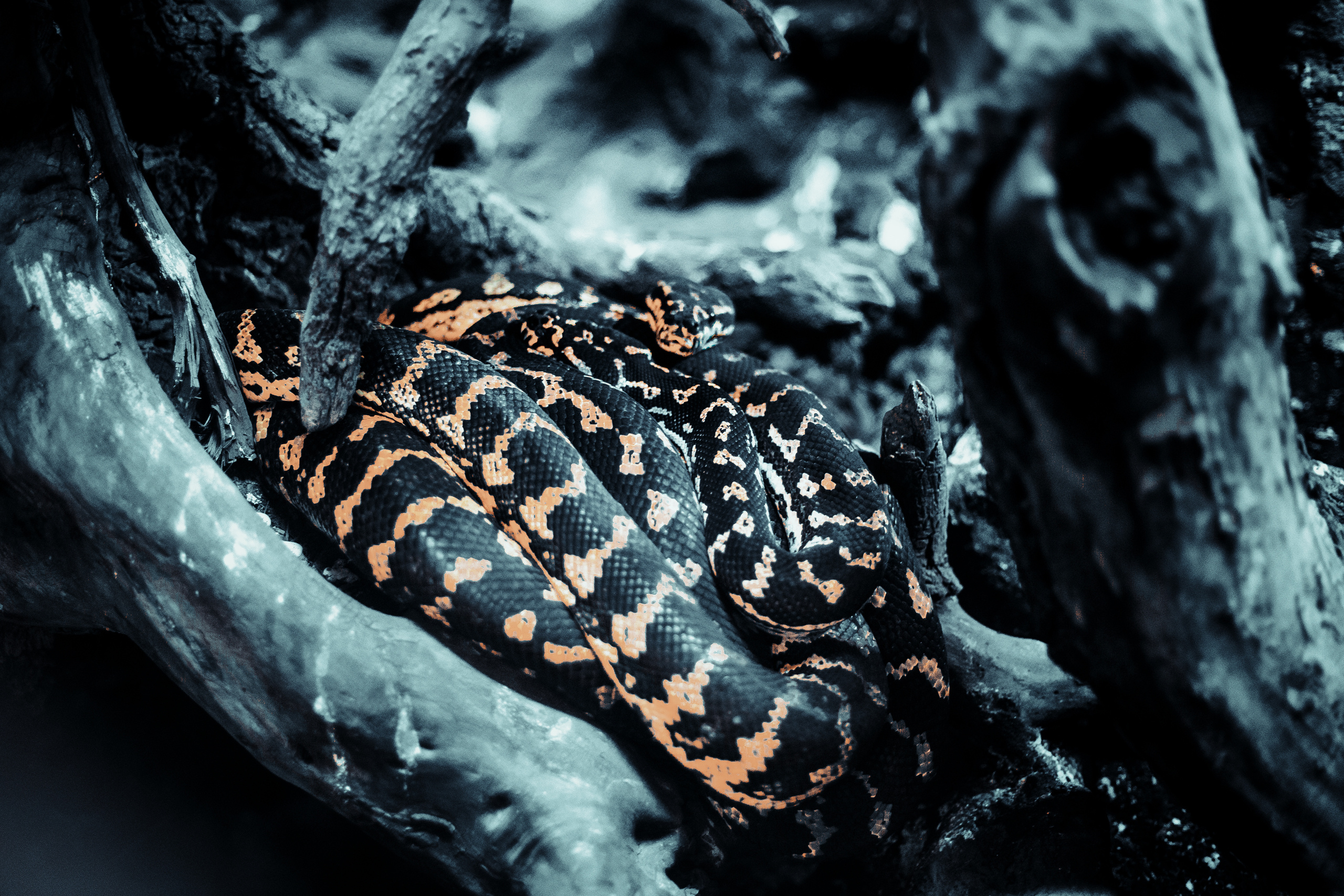 Mračni paket preseta namenjen travel fotografiji. Mark Smilyanic | Portretni boudoir fotograf iz Beograda