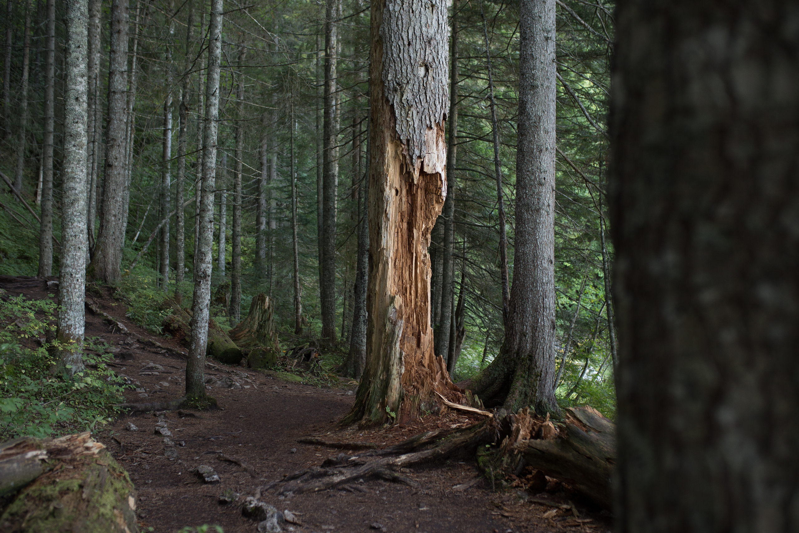 Moody color palette optimized for travel photography. Mark Smilyanic | Portrait and Adventure Photographer from Belgrade
