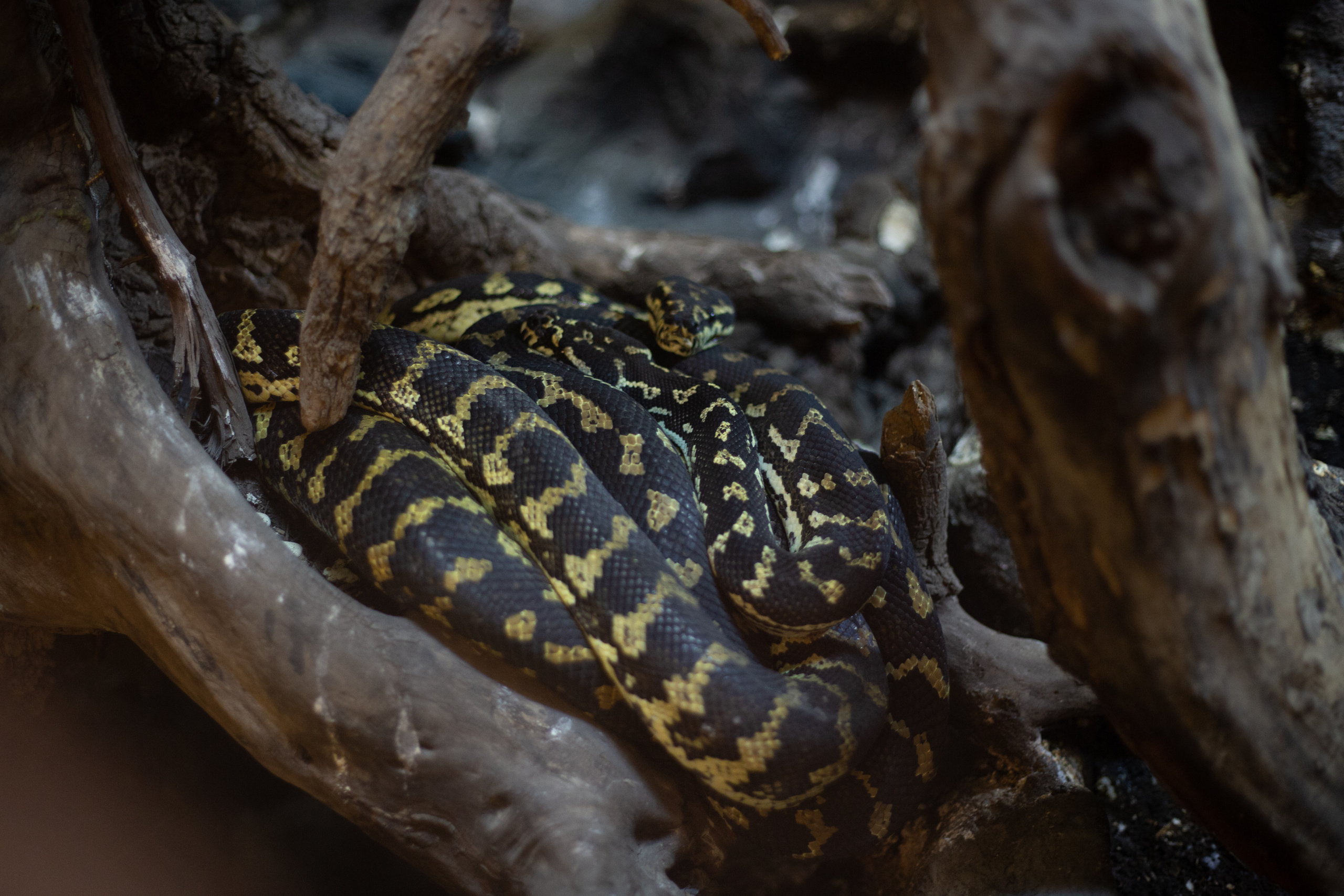 Mračni paket preseta namenjen travel fotografiji. Mark Smilyanic | Portretni boudoir fotograf iz Beograda