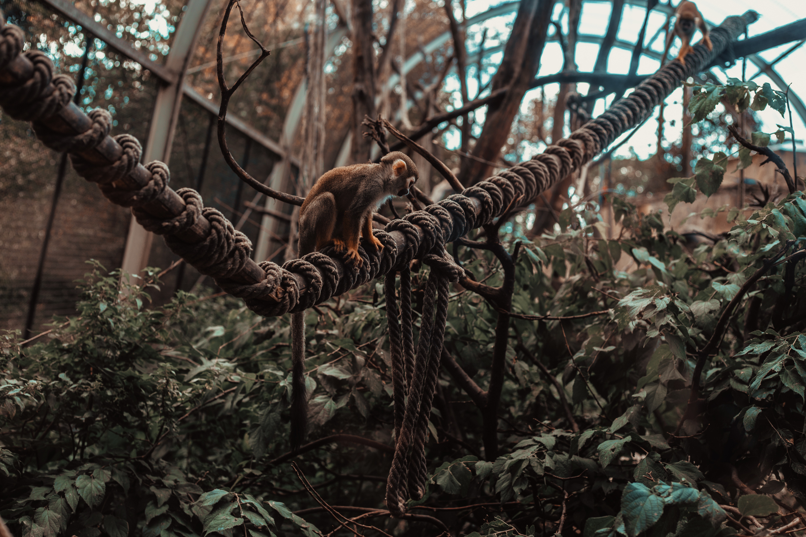 Colorful and unique travel profile pack for Lightroom and Camera Raw. Mark Smilyanic | Portrait and Adventure Photographer from Belgrade