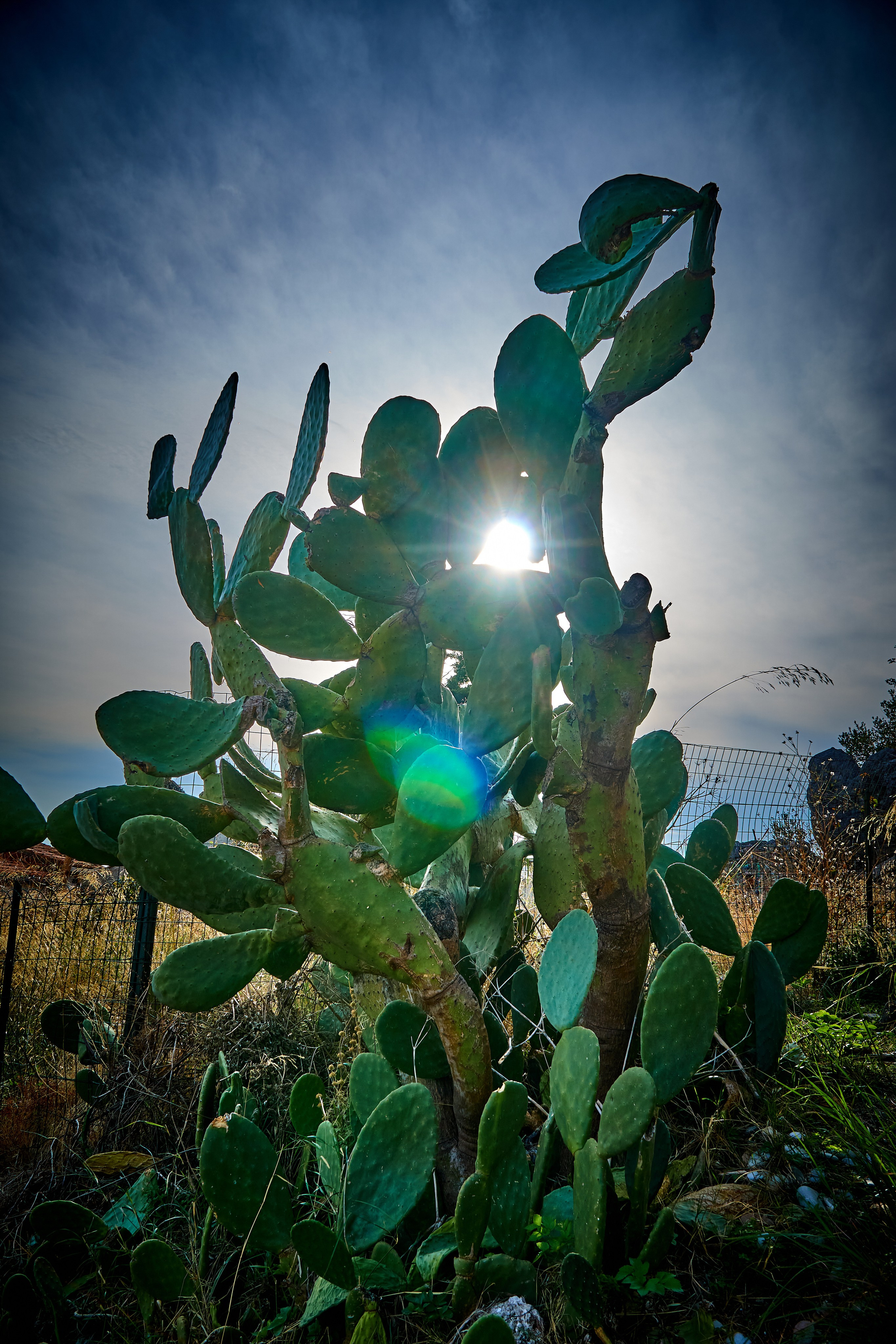 Bella Calabria. Andriej Szypilow — Photography & Videography