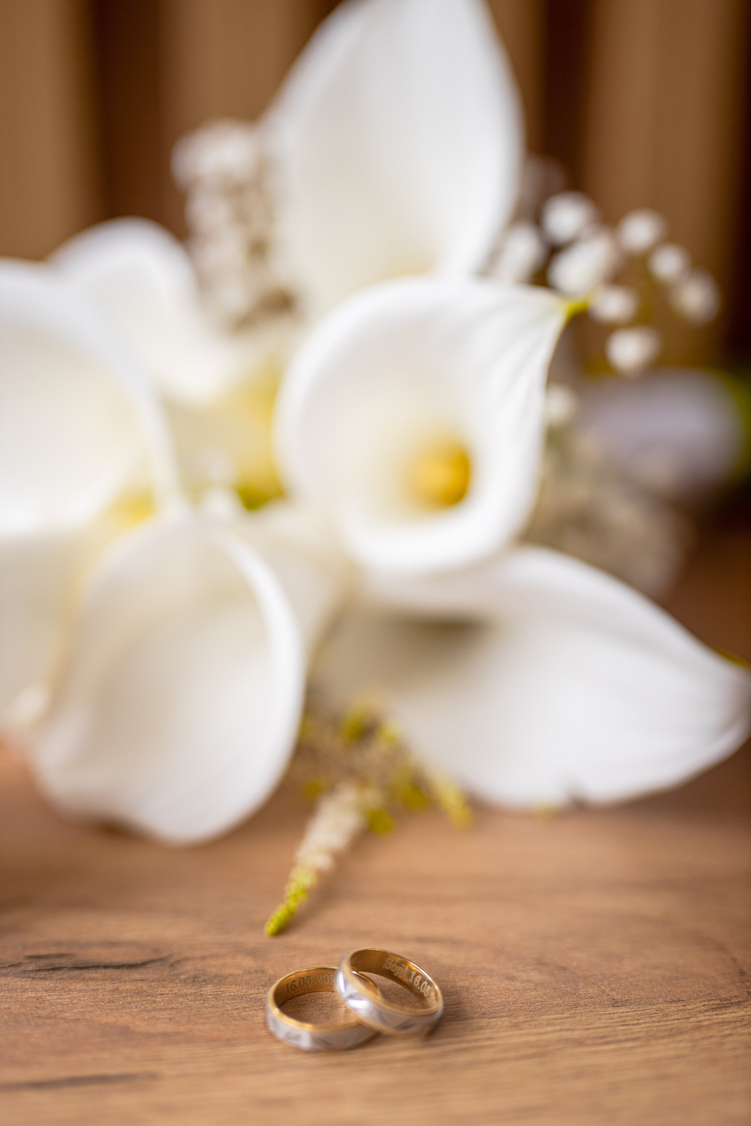 Lara & Vuk. Marko Tucić Photography | Fotograf Zrenjanin