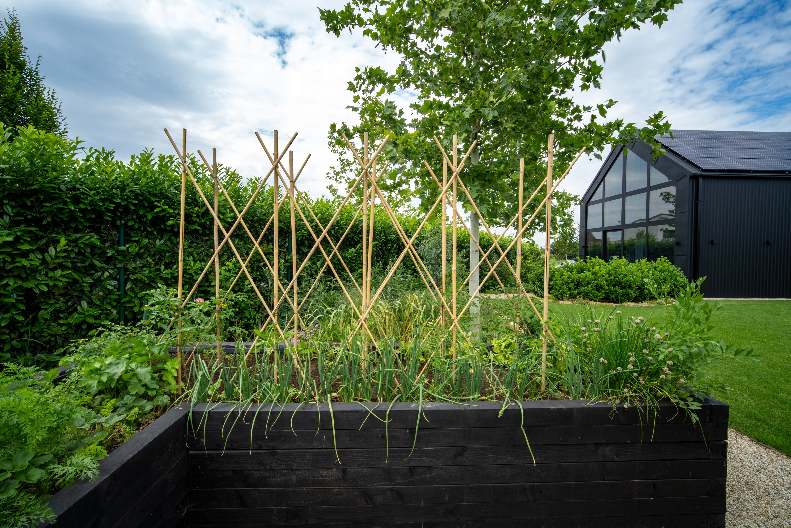 BEŽECKÁ 11. Photographer and videographer in Norway and Slovakia Andrea Zemko