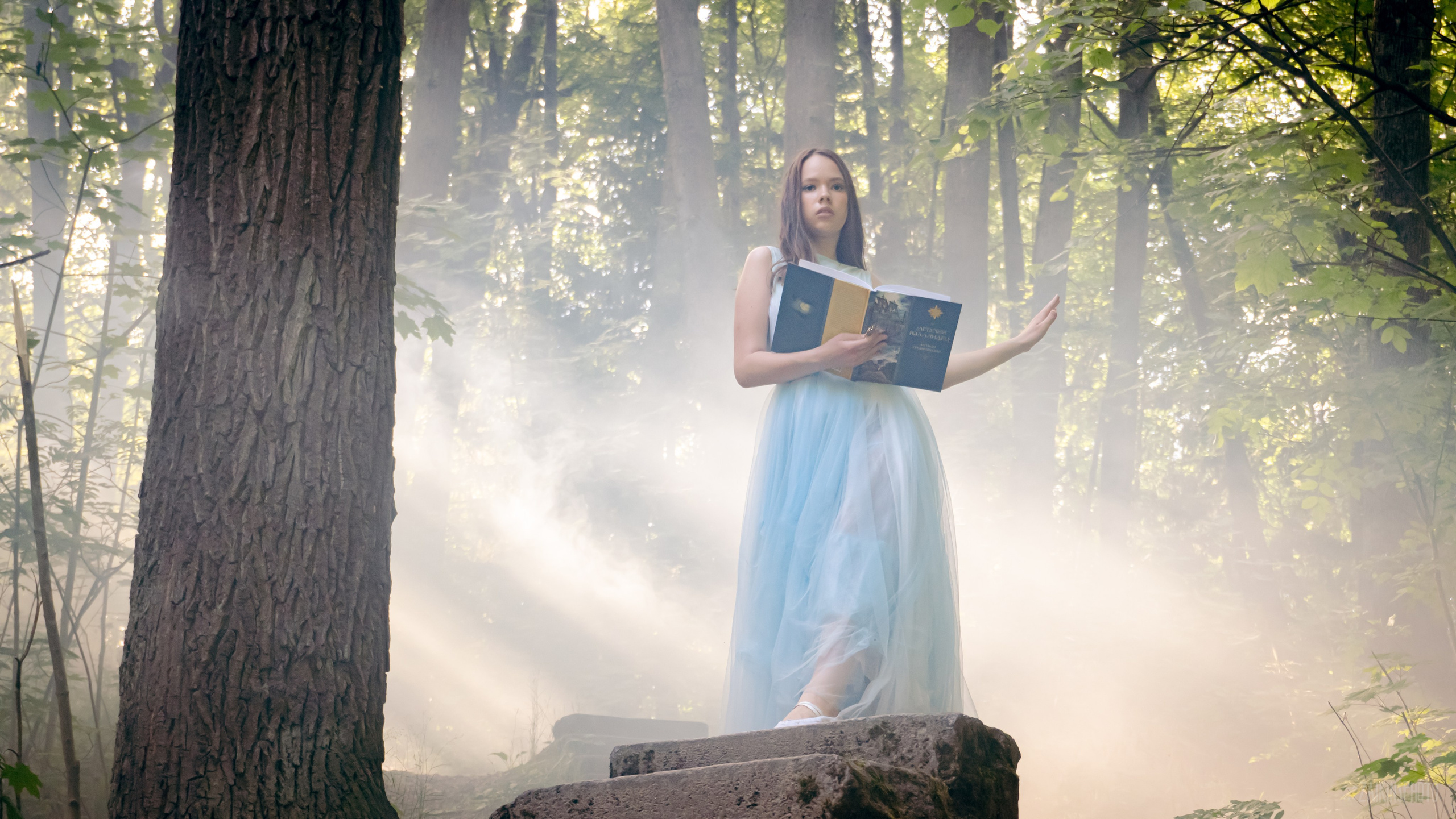 Alice In Wonderland. Main