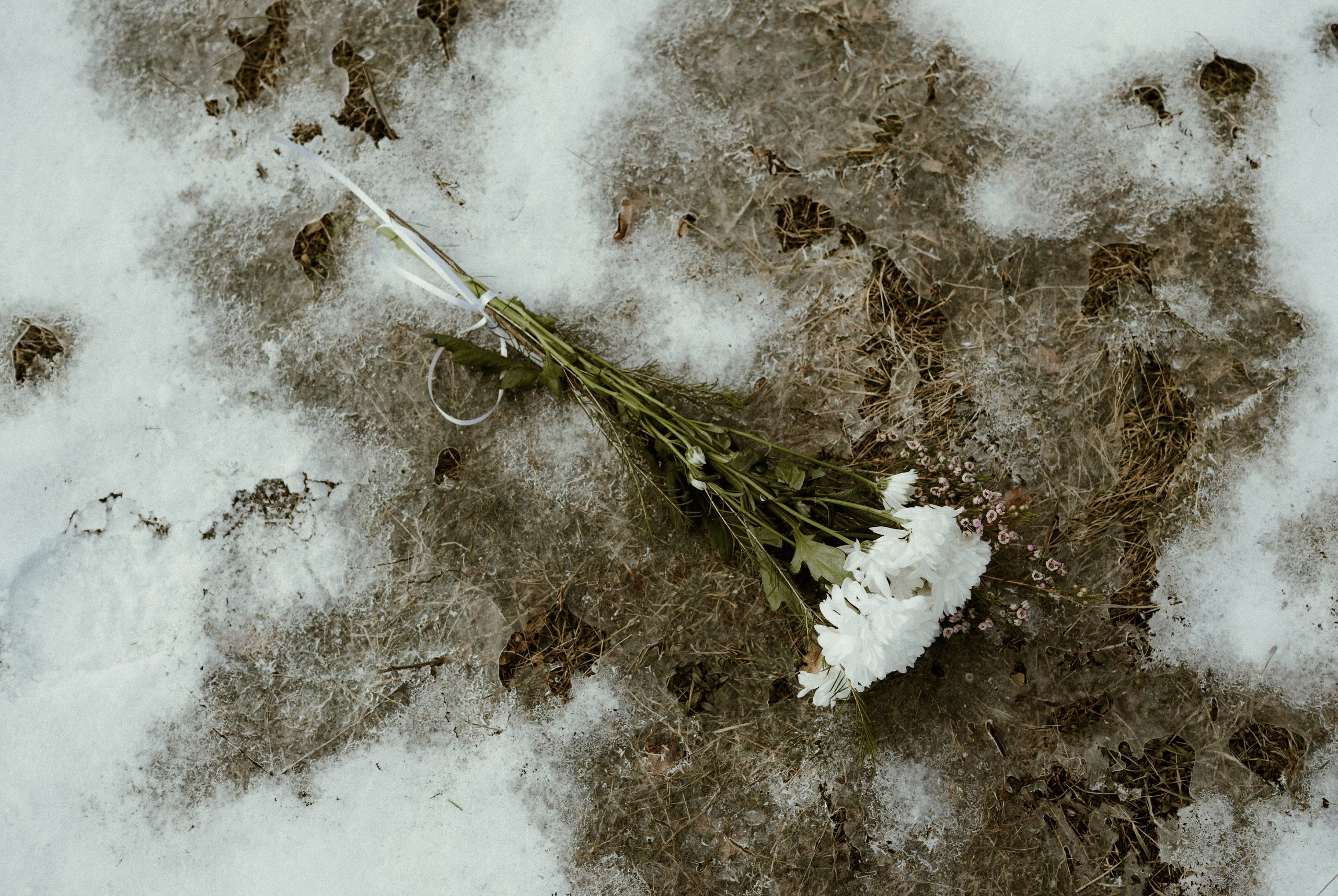 Daria, february 2025. Adrian Aioanei — Fotograf profesionist de nuntă în Iași, Suceava și București. Specializat în evenimente, portrete și fine art