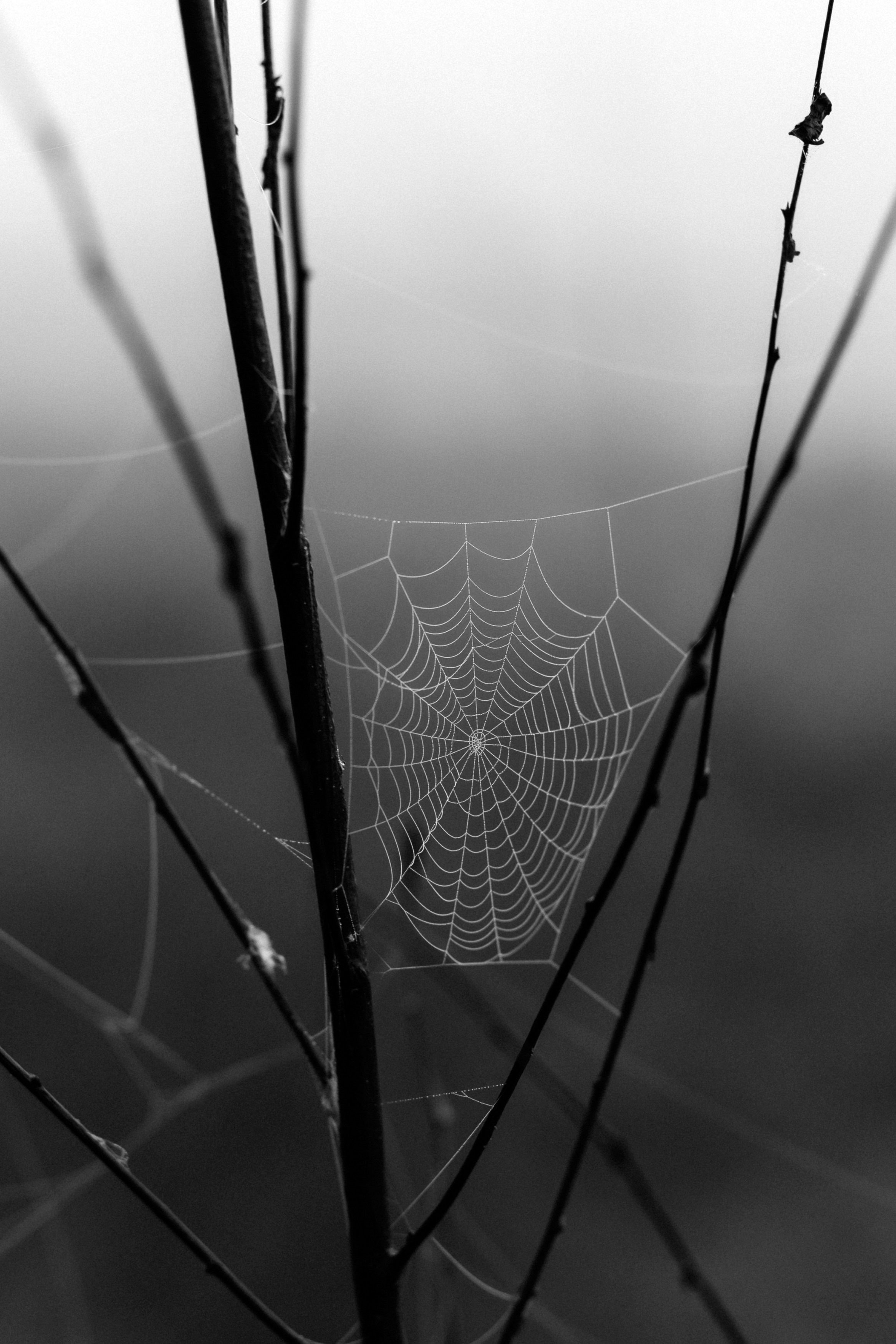 MARIANA — AUTUMN TIME. Fulga Photographer