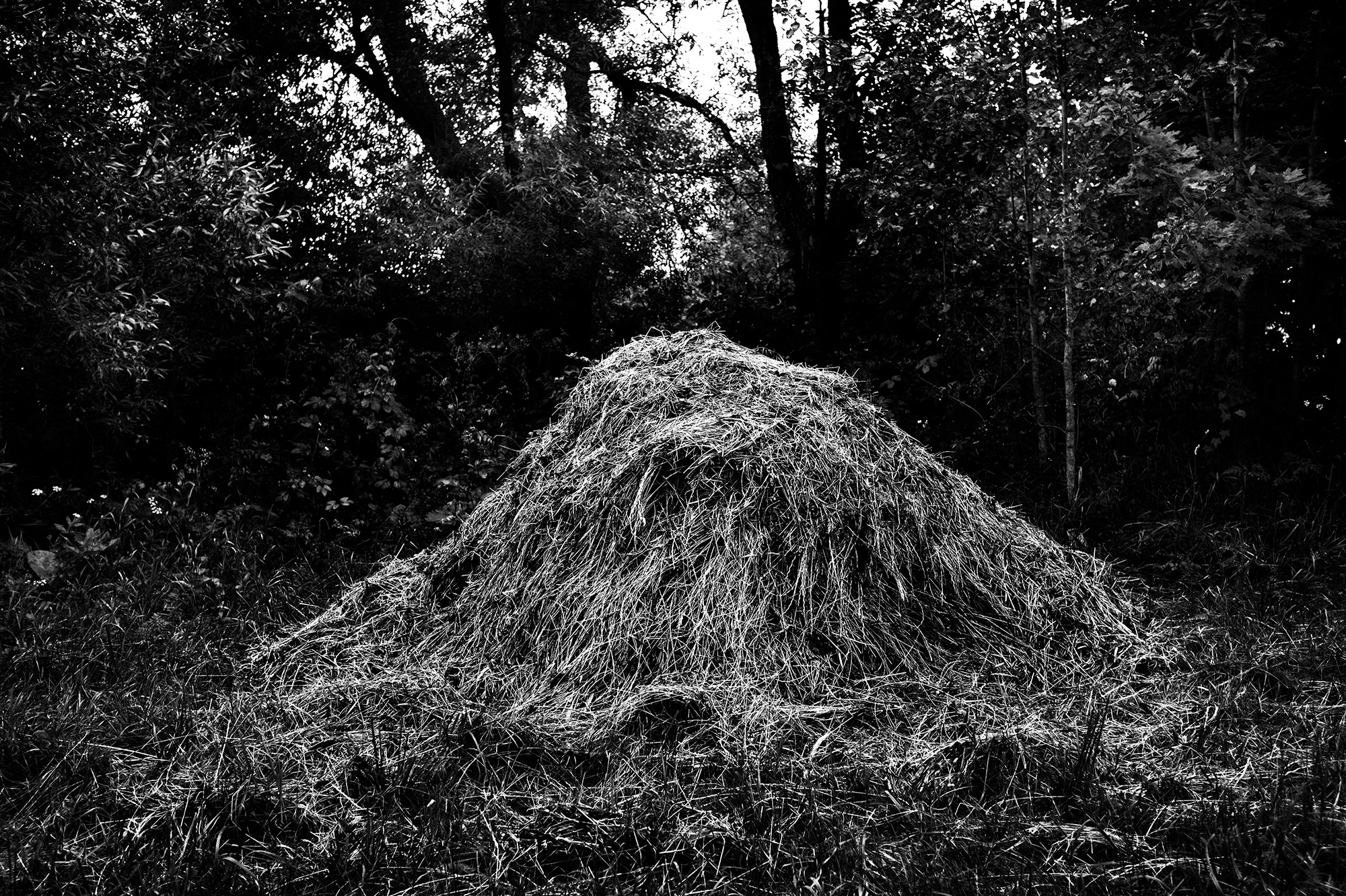 MALOSTOVKA. Documentary photographer, visual artist based in Germany