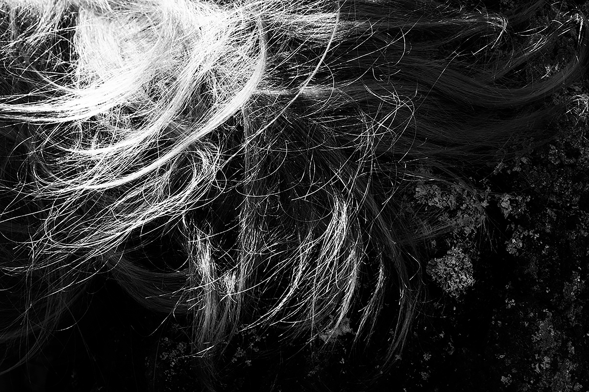 MALOSTOVKA. Documentary photographer, visual artist based in Germany